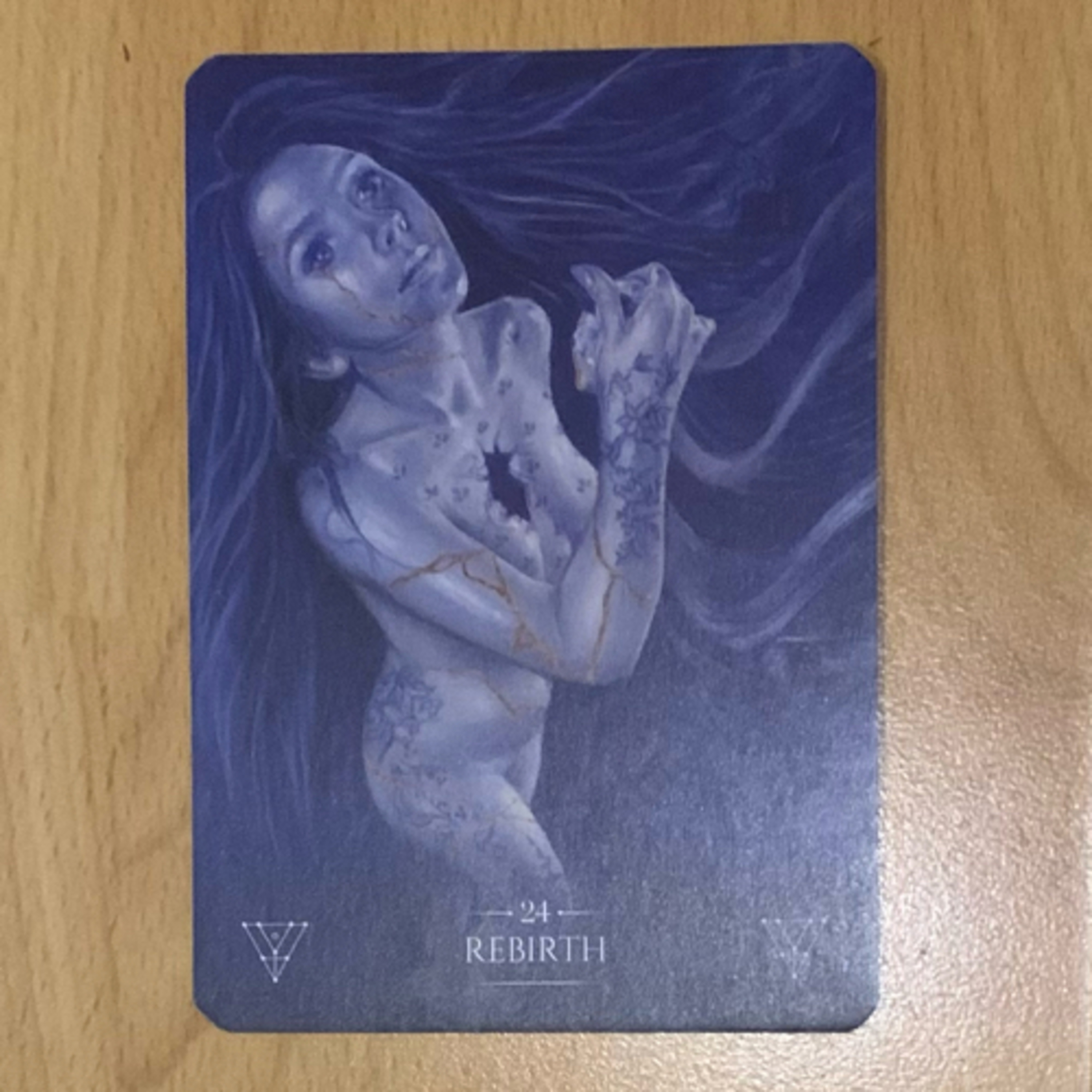 Daily tarot & oracle cards 😊