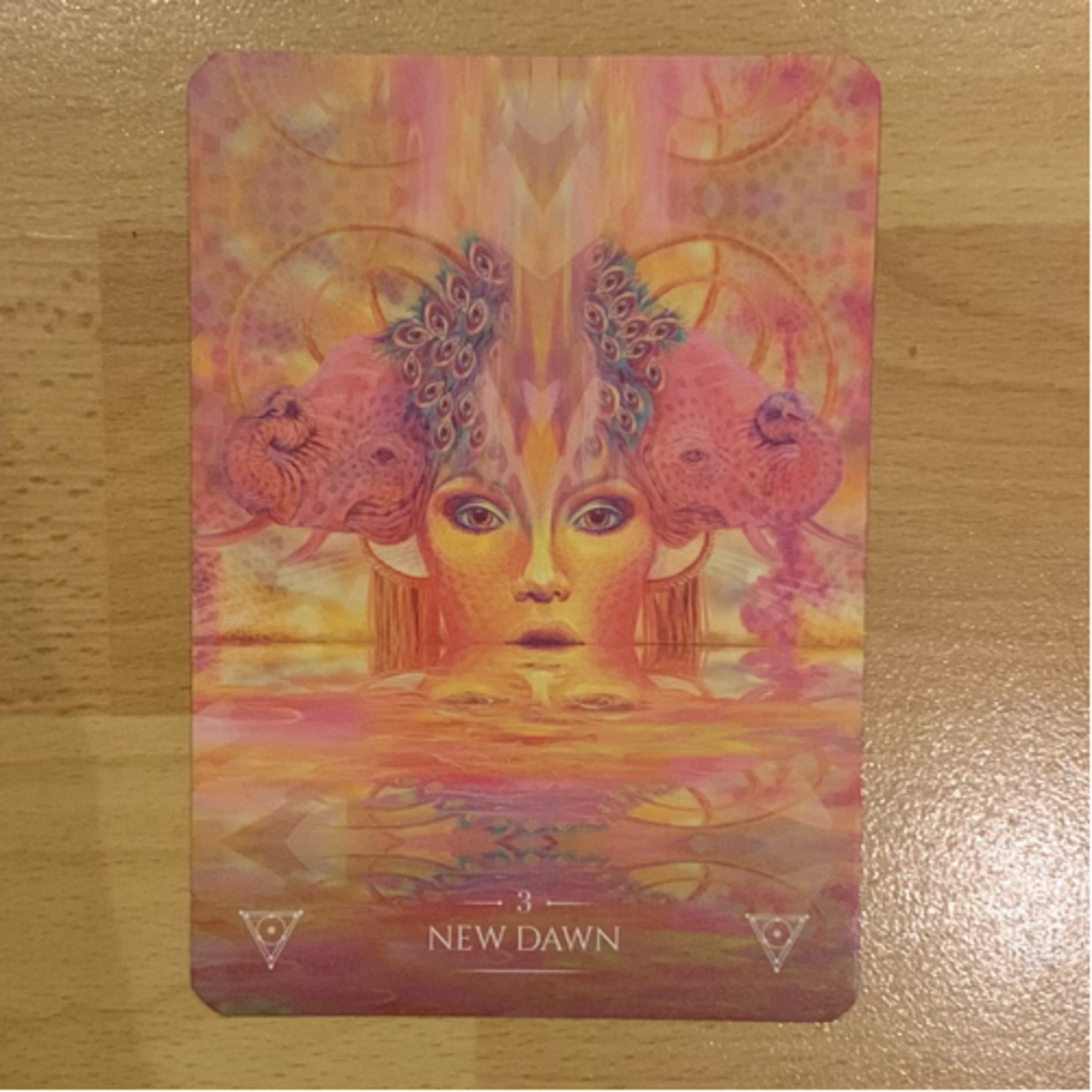 Daily tarot & oracle cards 😊