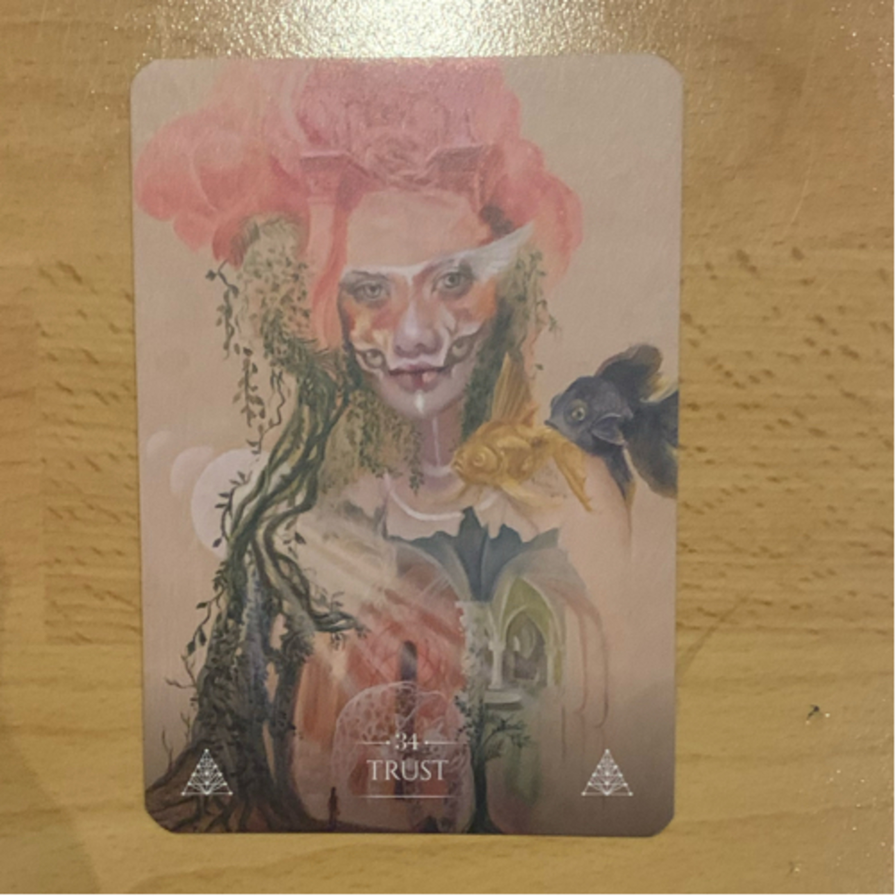 Daily tarot & oracle cards 😊