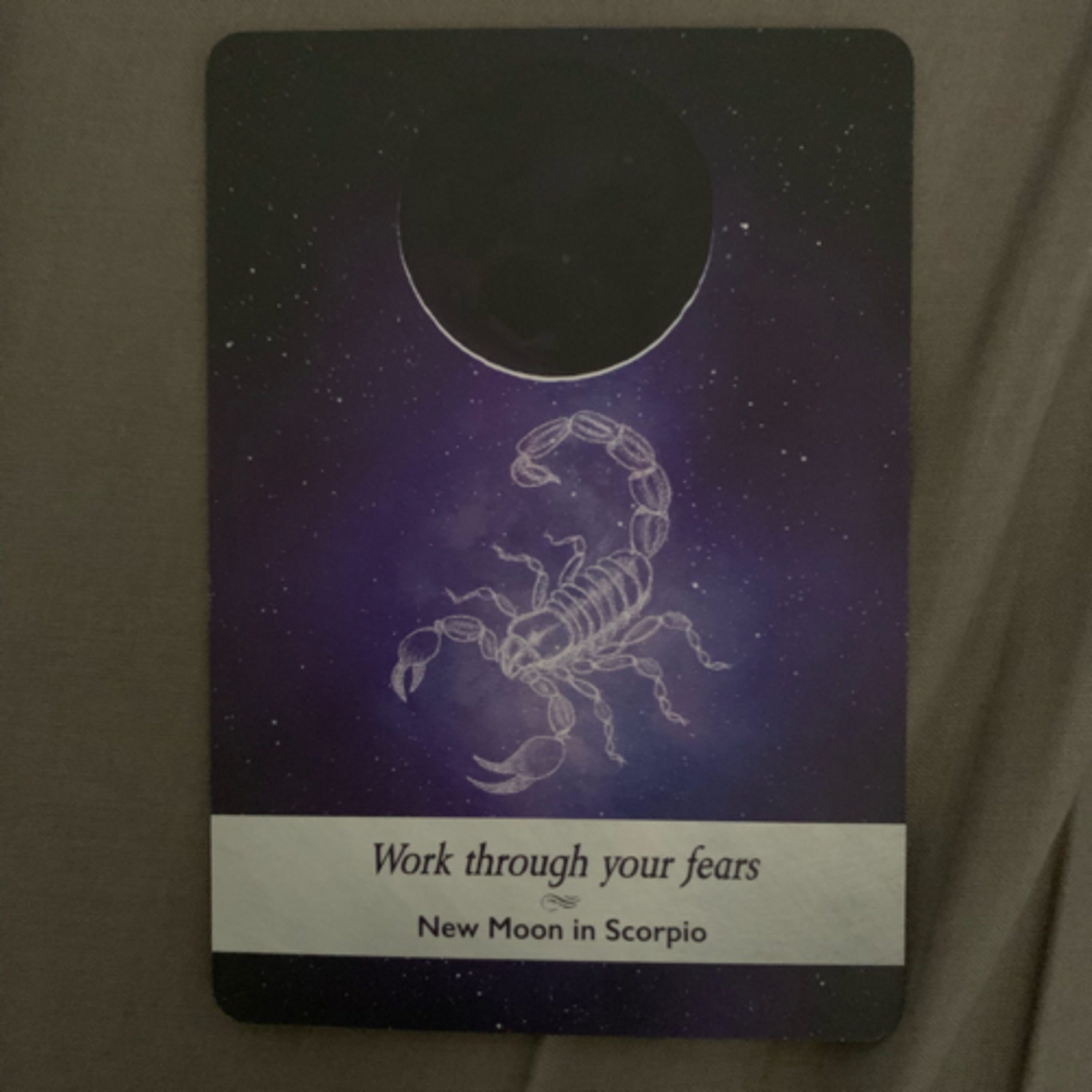 Daily tarot & oracle cards 😊