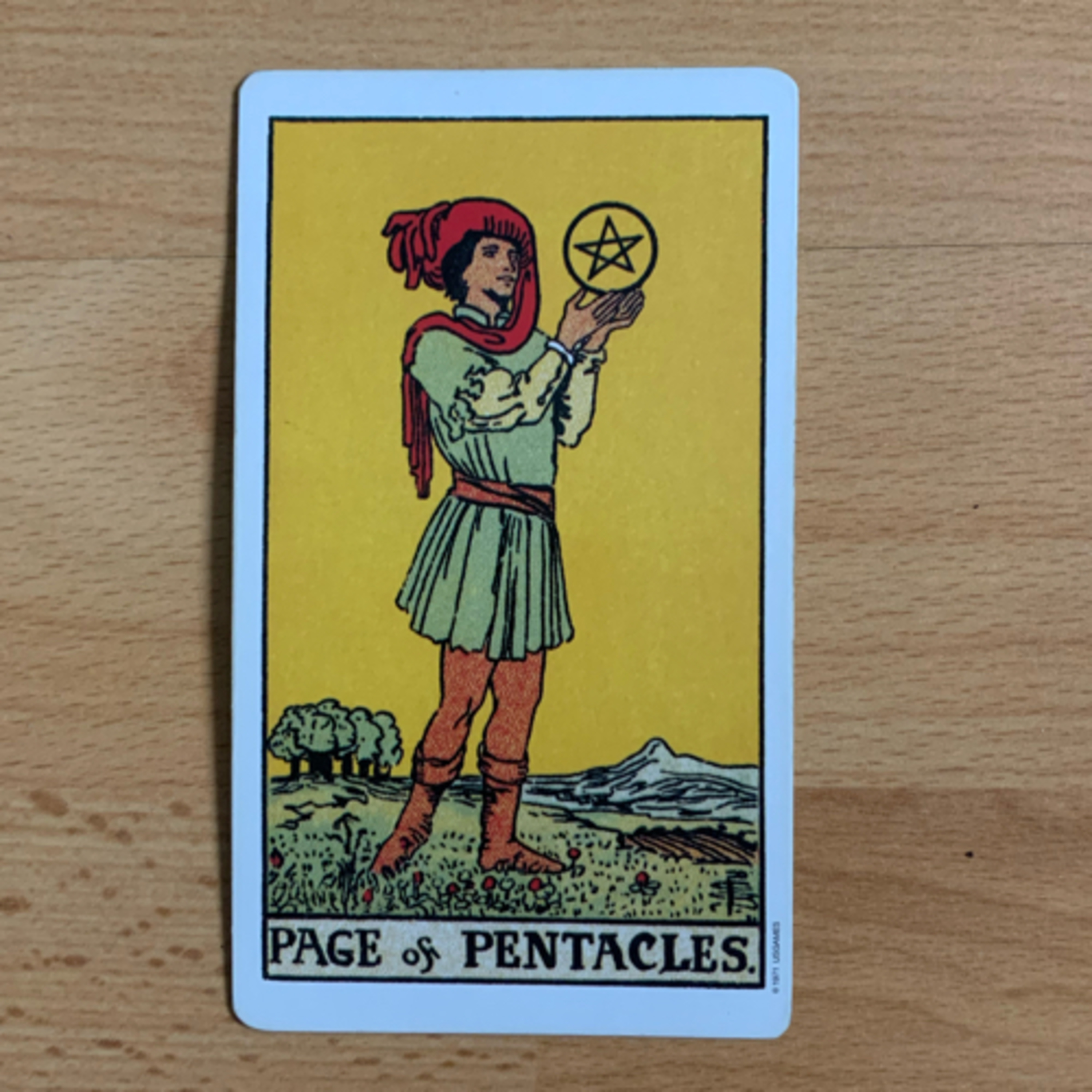 Daily tarot & oracle cards 😊