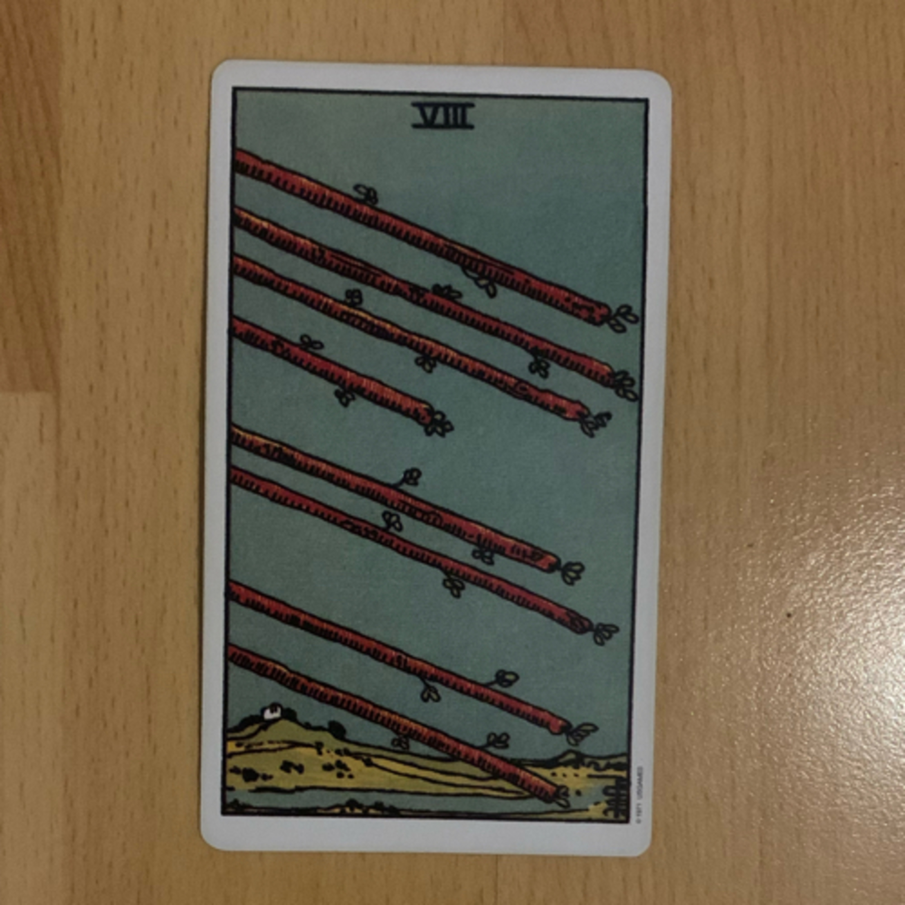 Daily tarot & oracle cards 😊