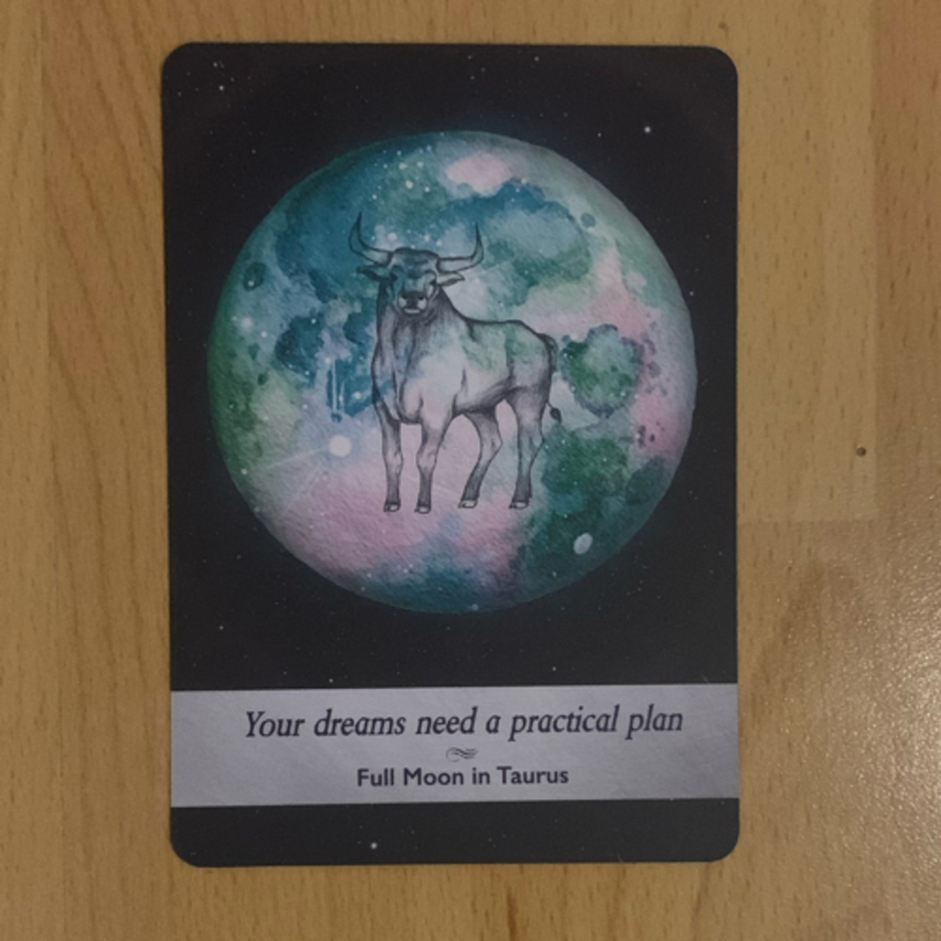 Daily tarot & oracle cards 😊