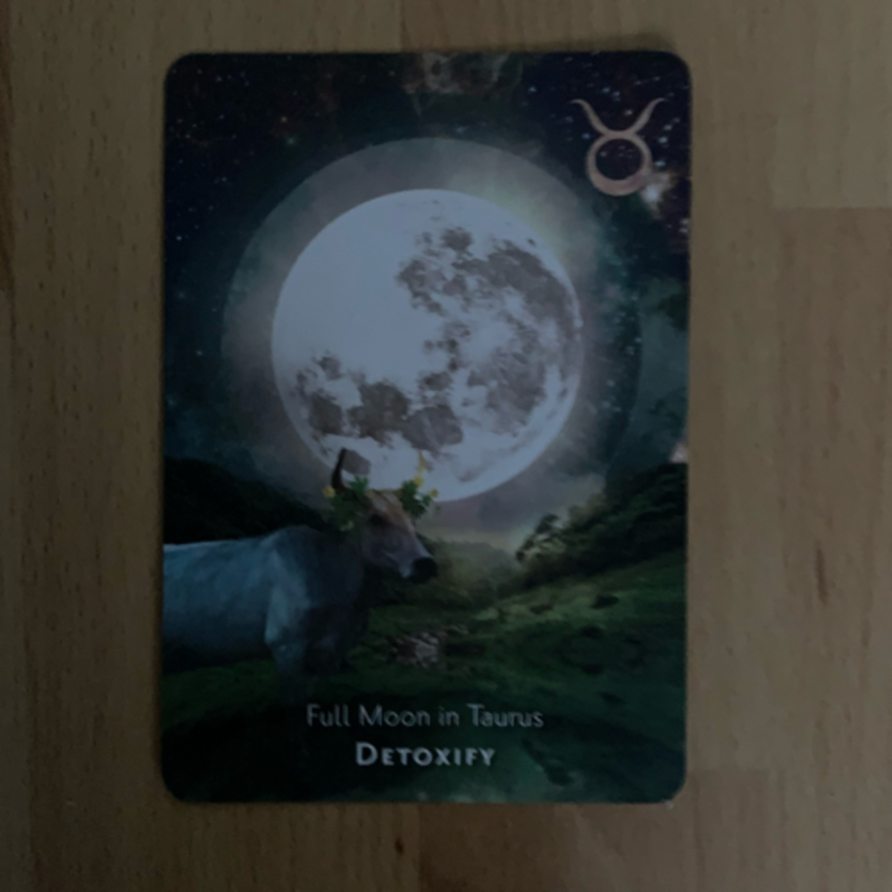 Daily tarot & oracle cards 😊