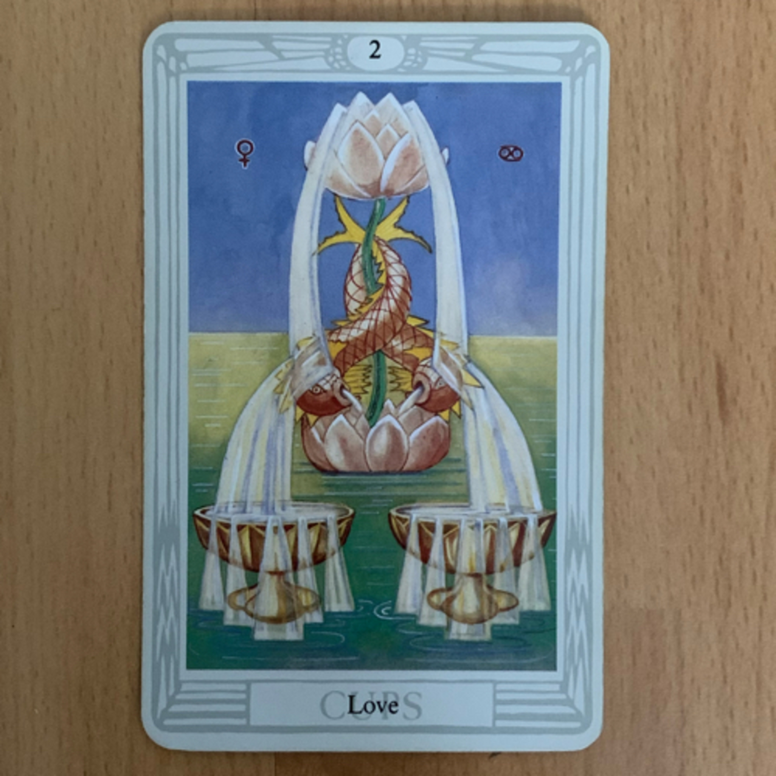 Daily tarot & oracle cards 😊