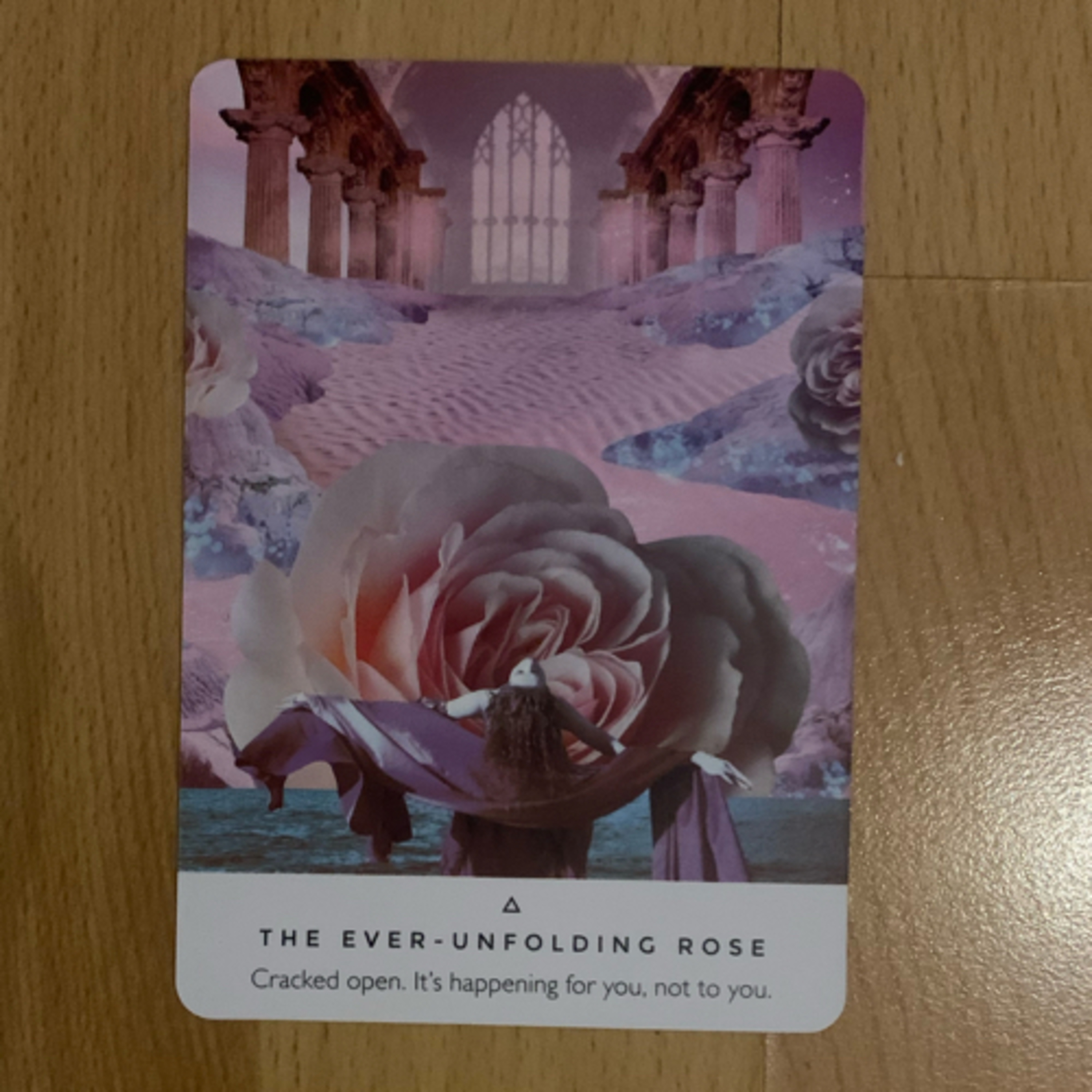 Daily tarot & oracle cards 😊