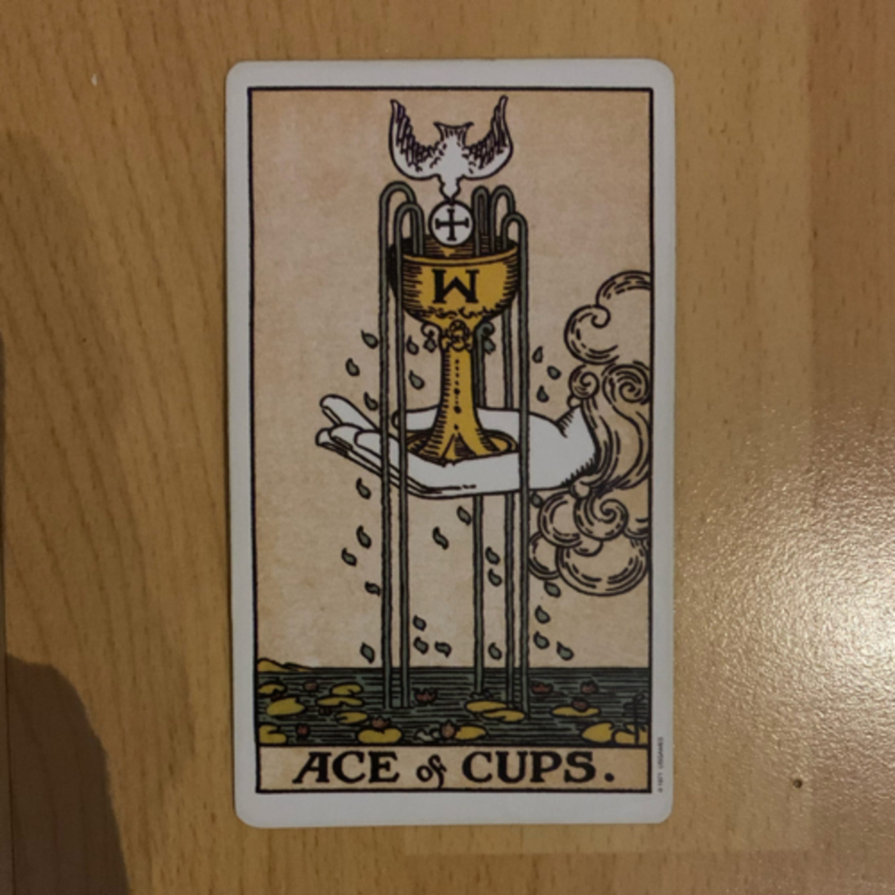 Daily tarot & oracle cards 😊