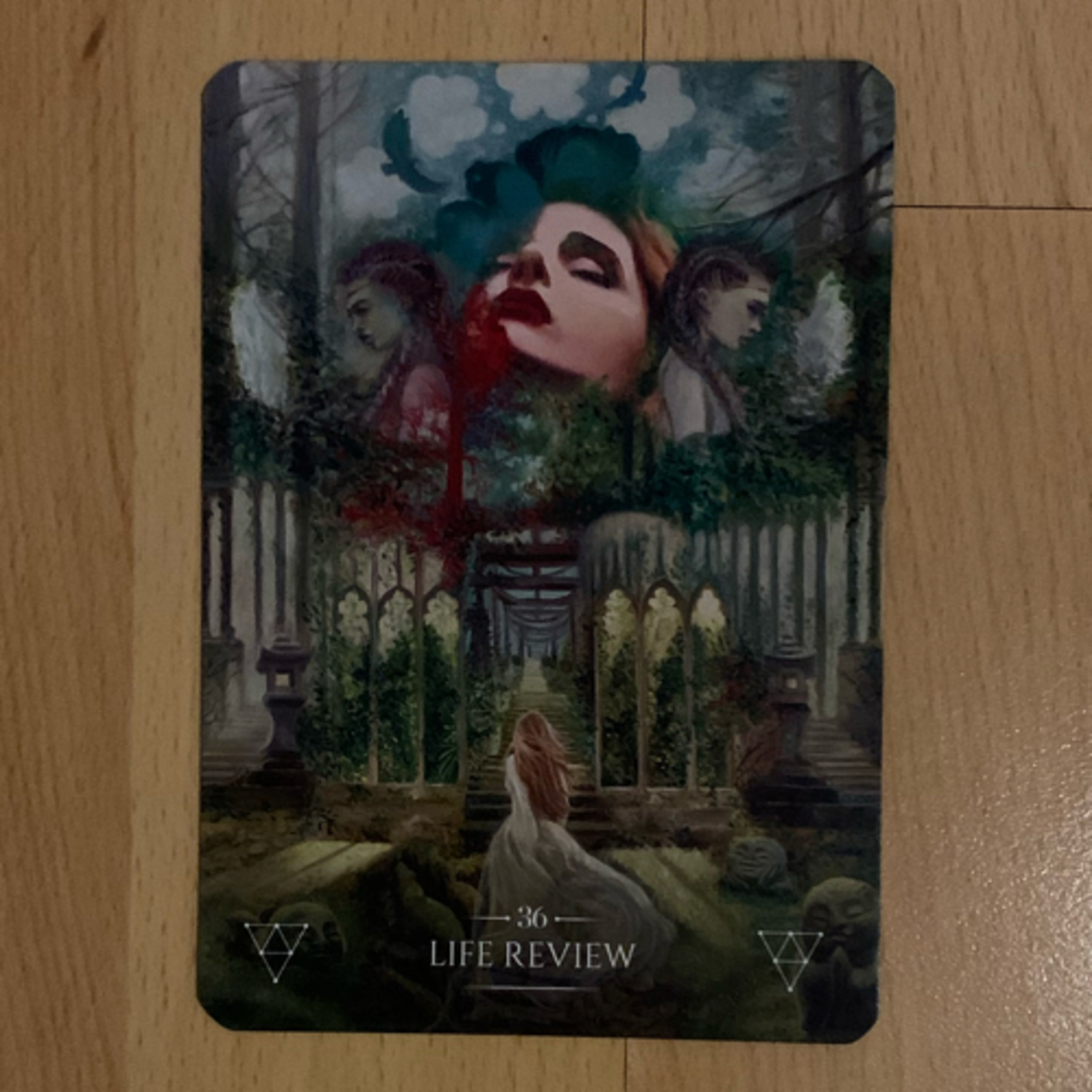 Daily tarot & oracle cards 😊