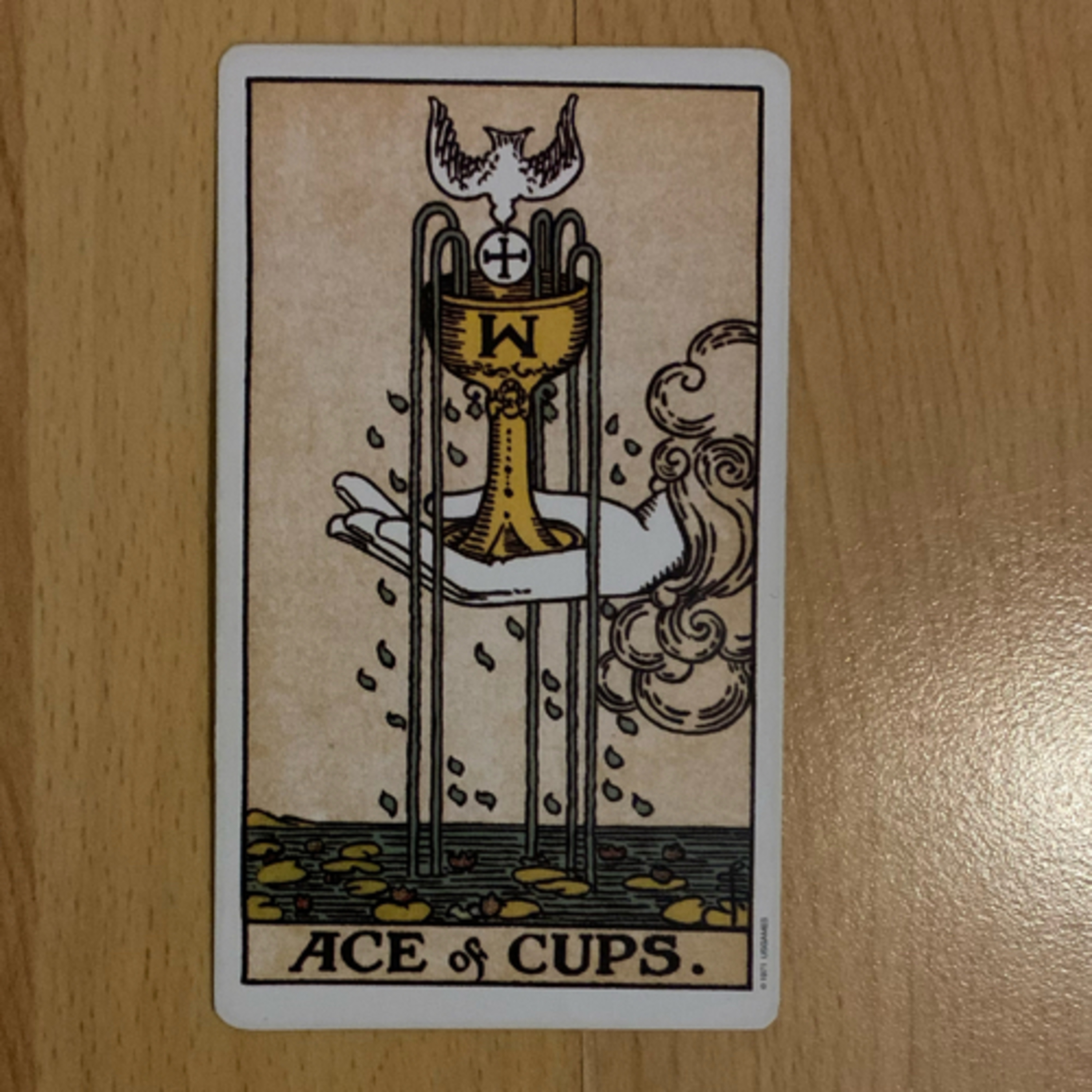 Daily tarot & oracle cards 😊