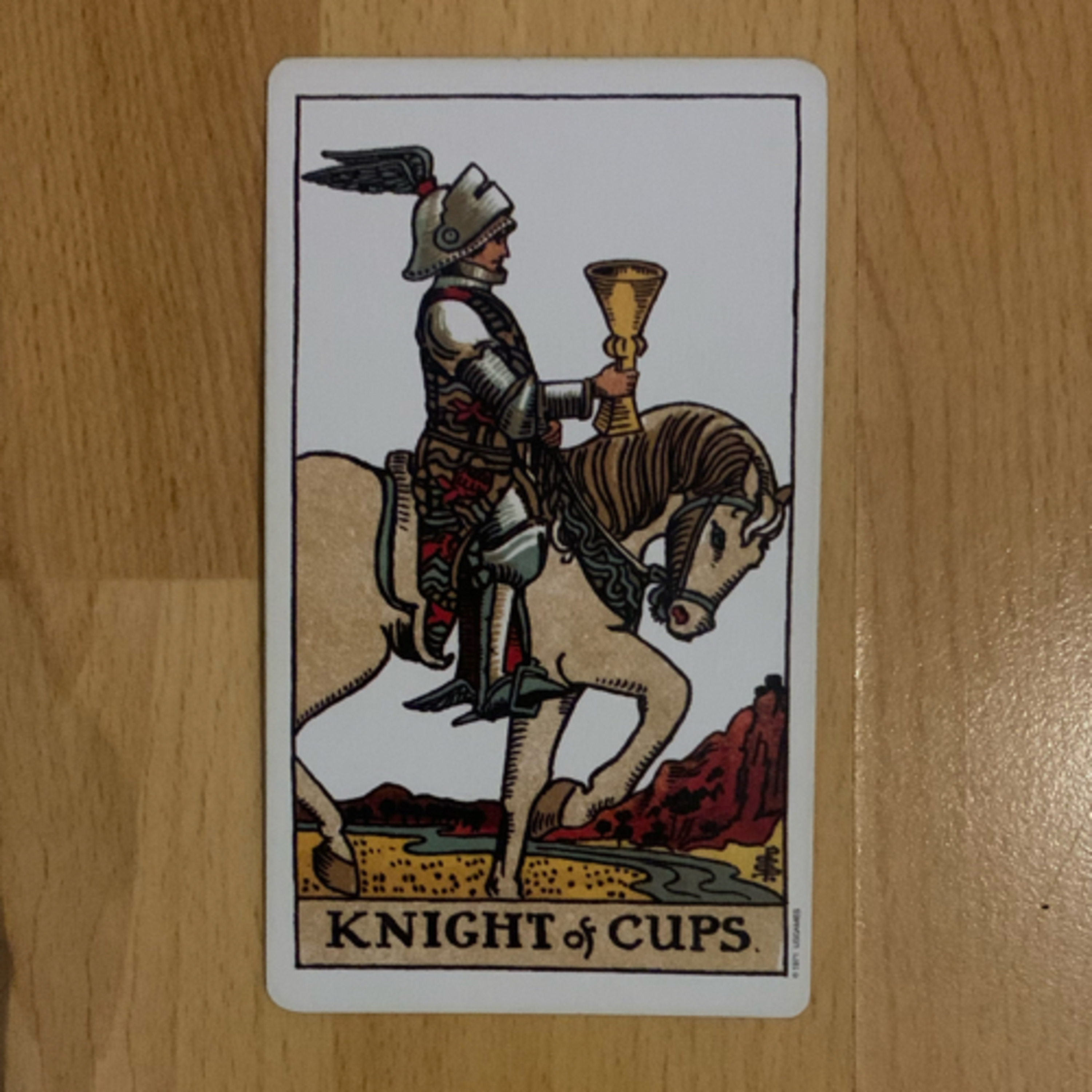 Daily tarot & oracle cards 😊