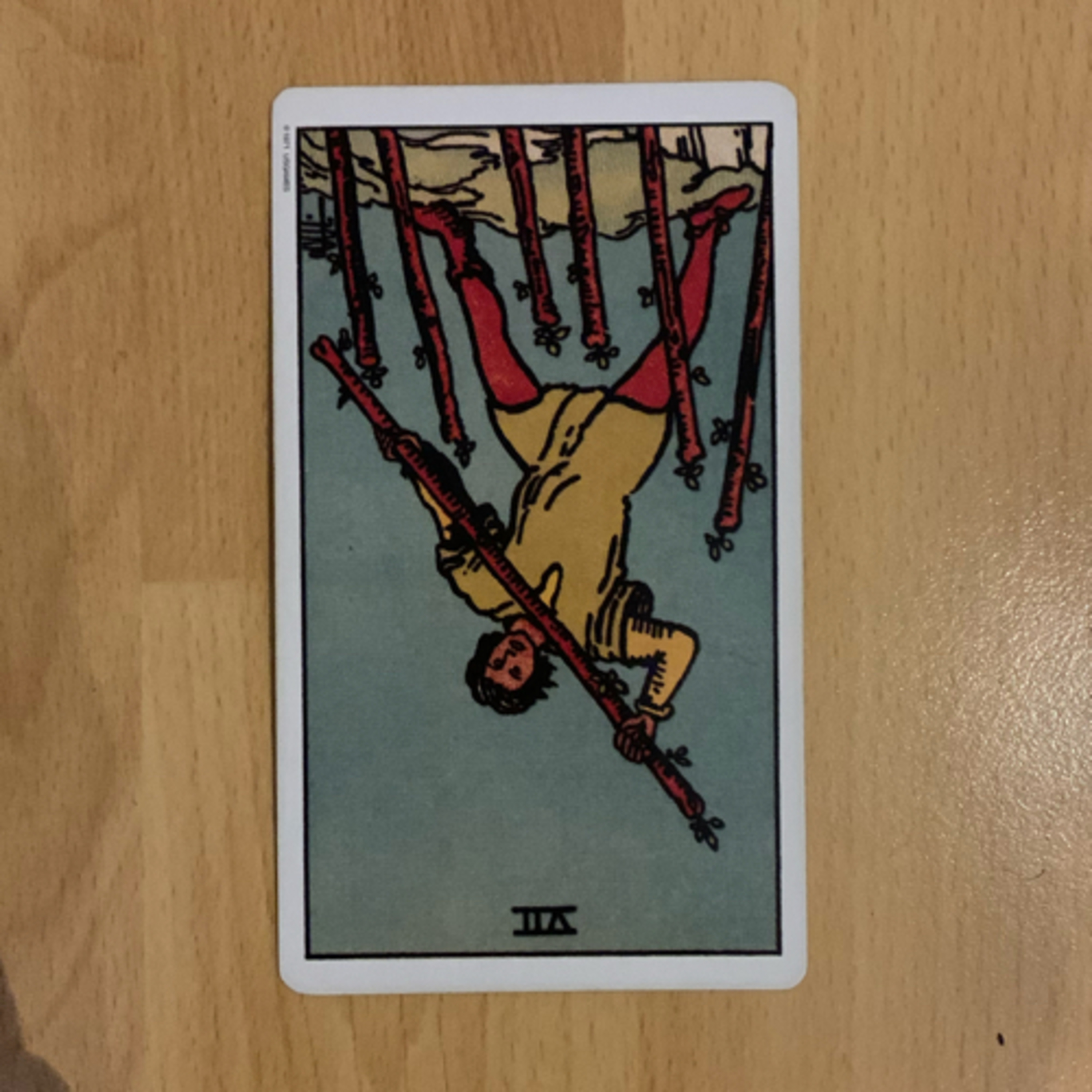 Daily tarot & oracle cards 😊