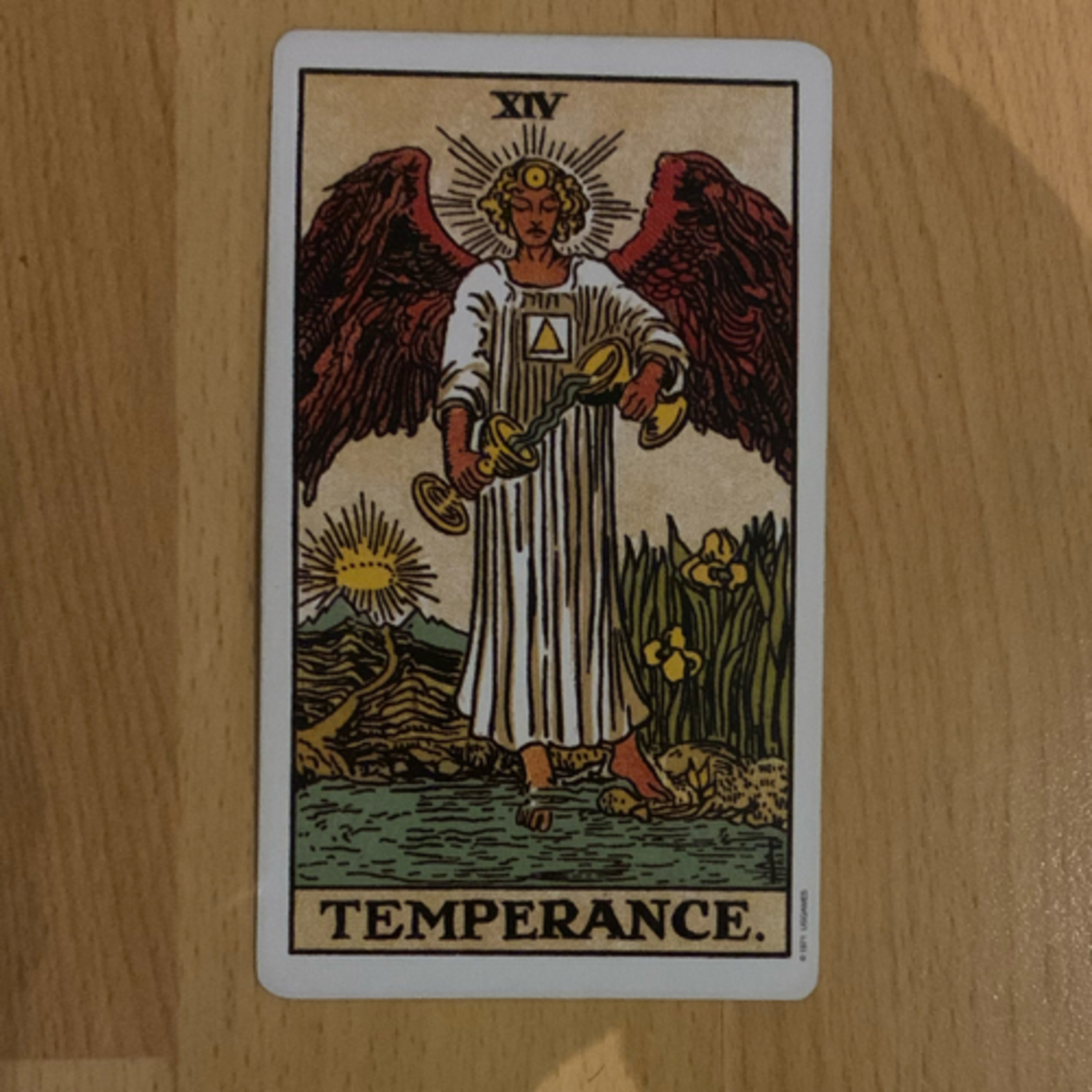 Daily tarot & oracle cards 😊