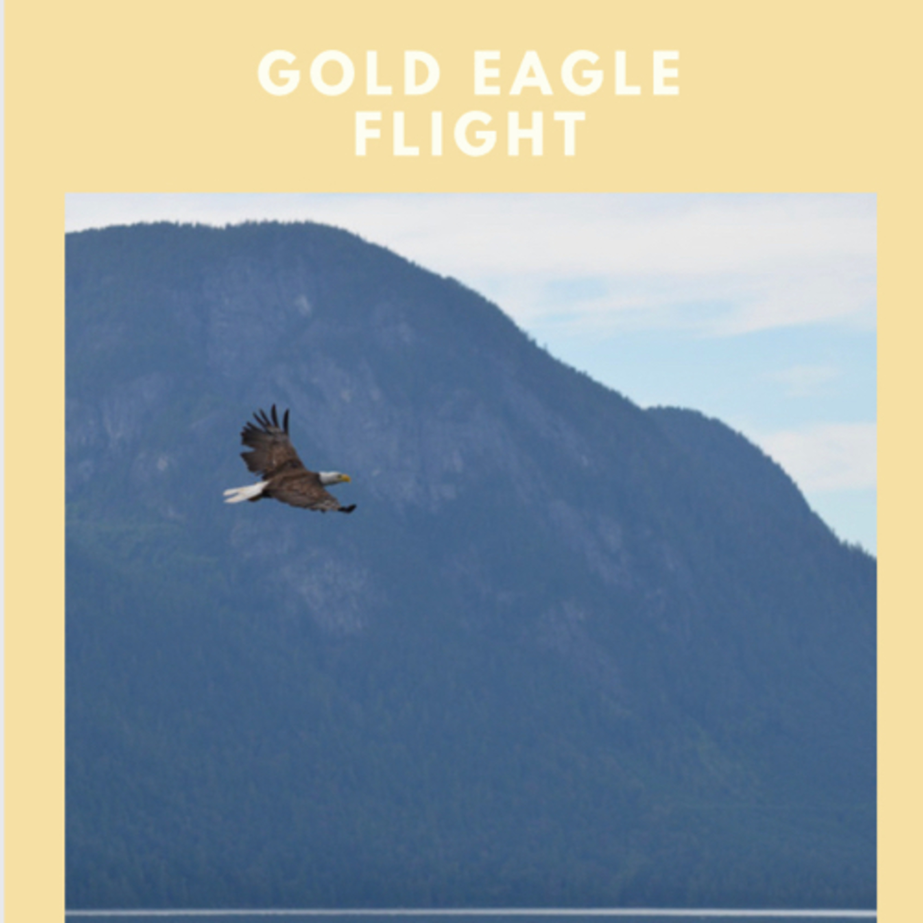 Golden Eagle Flight  episode artwork