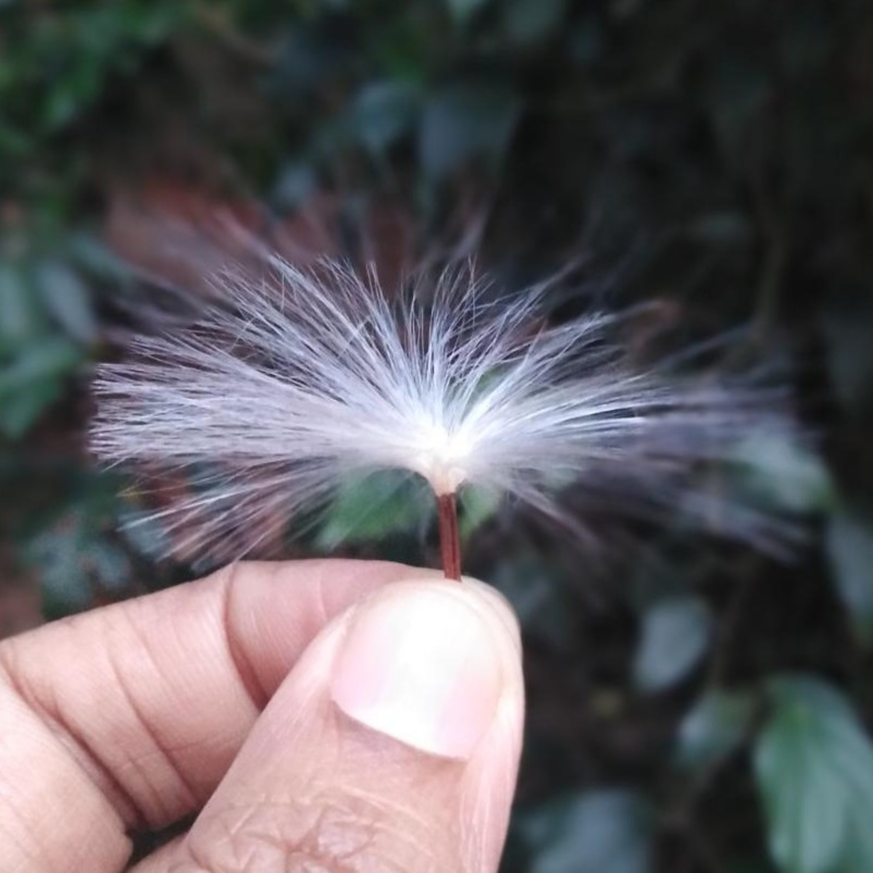 That small way of spreading happiness!