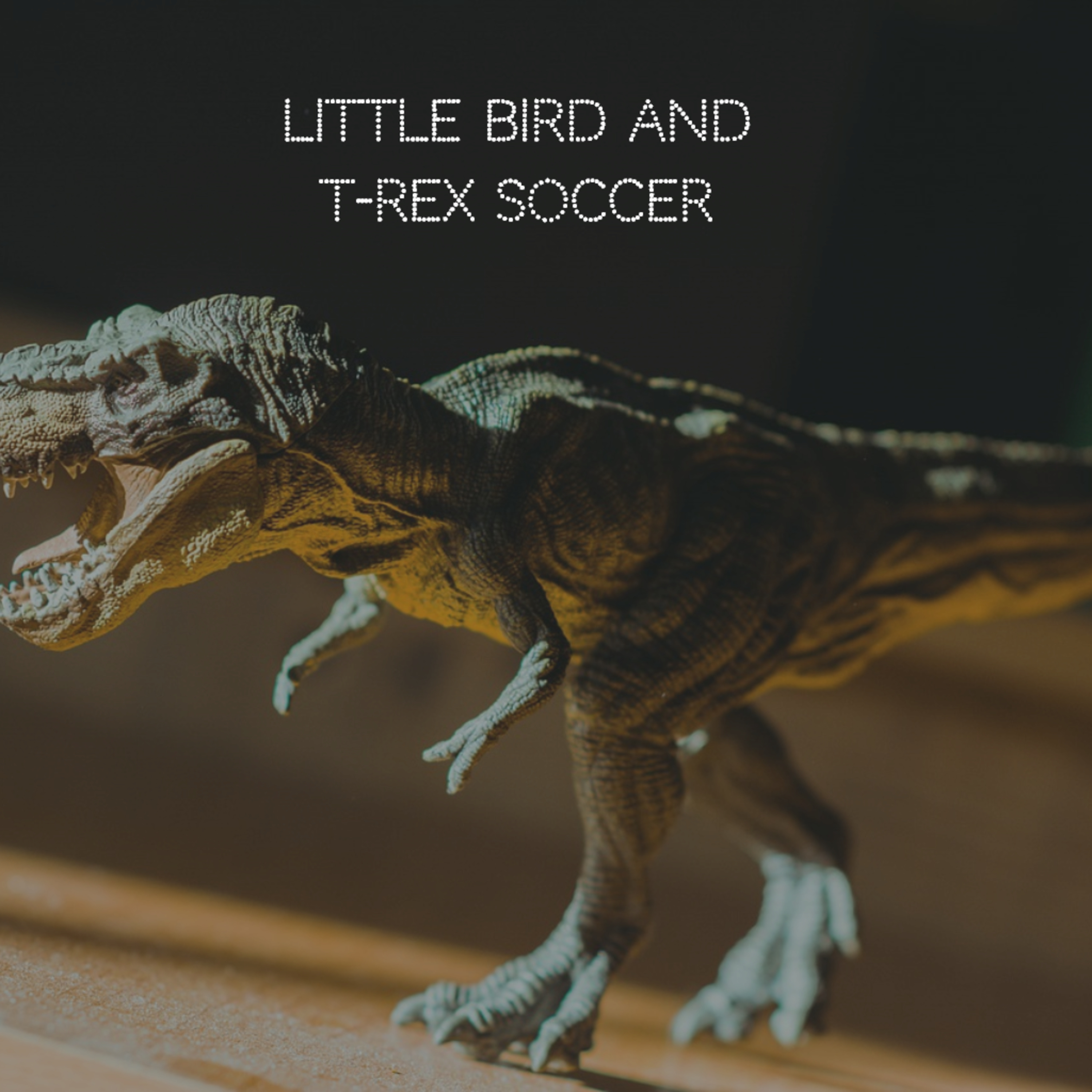 Little Bird and T-Rex Soccer