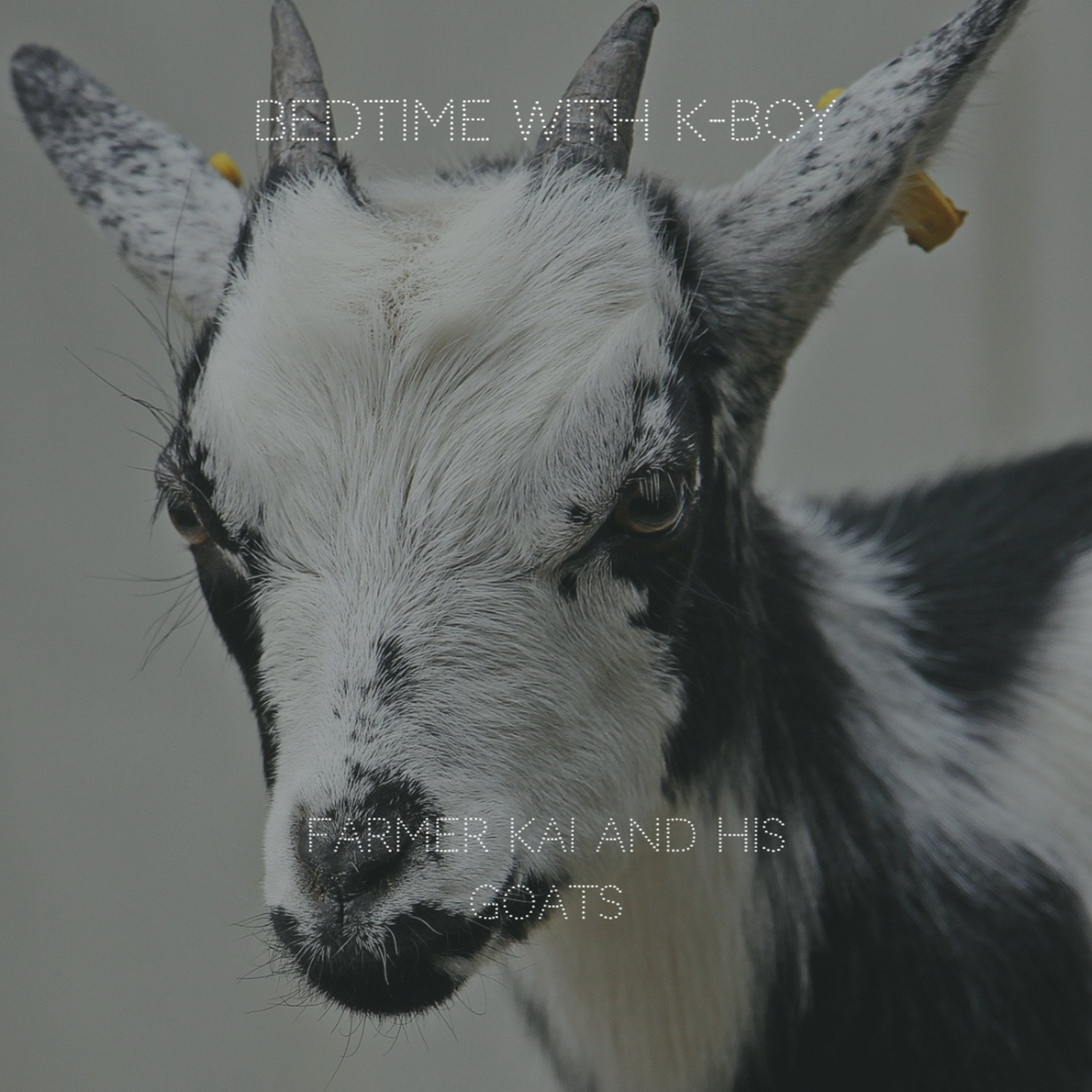 Farmer Kai and His Goats