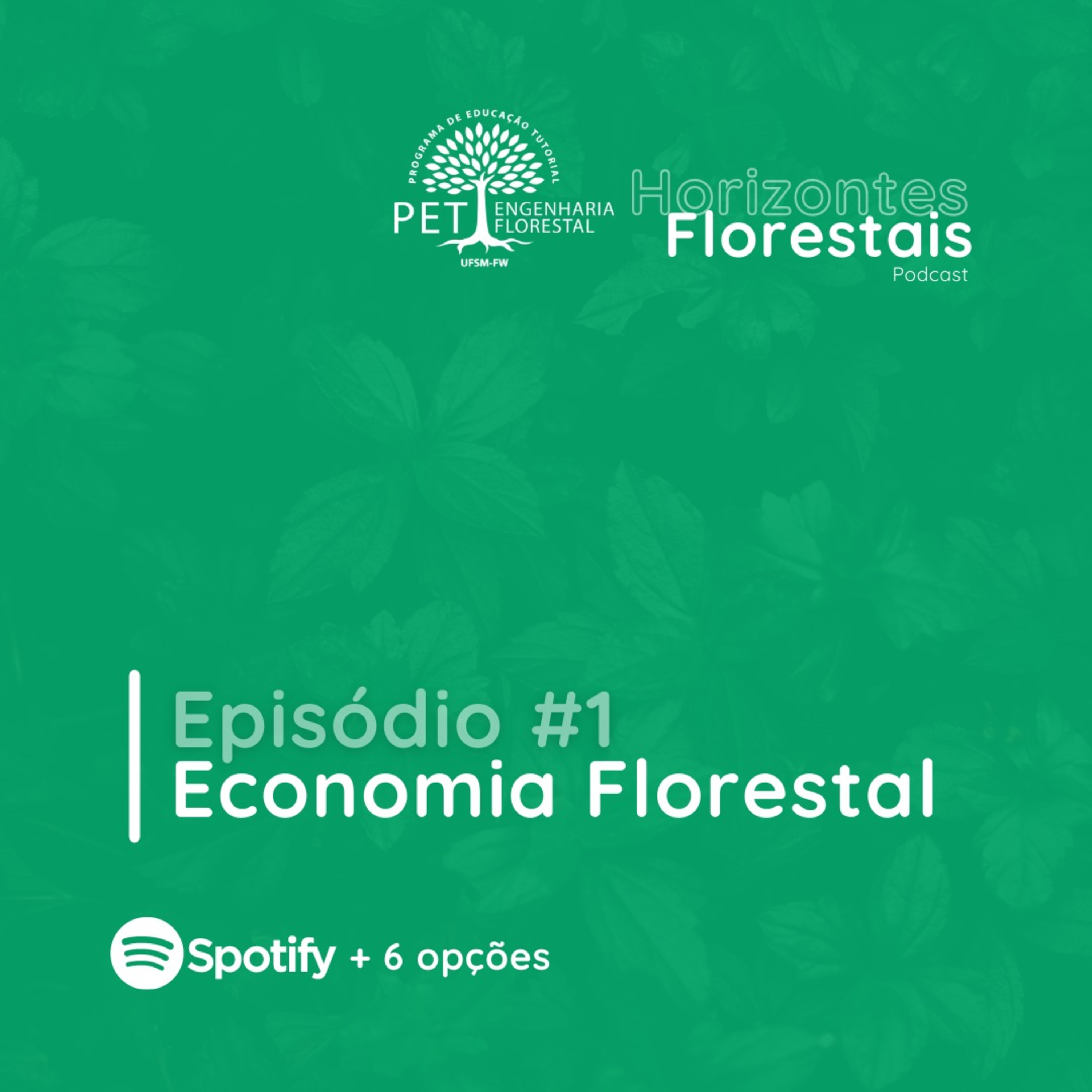 Horizontes Florestais 🌲🌻