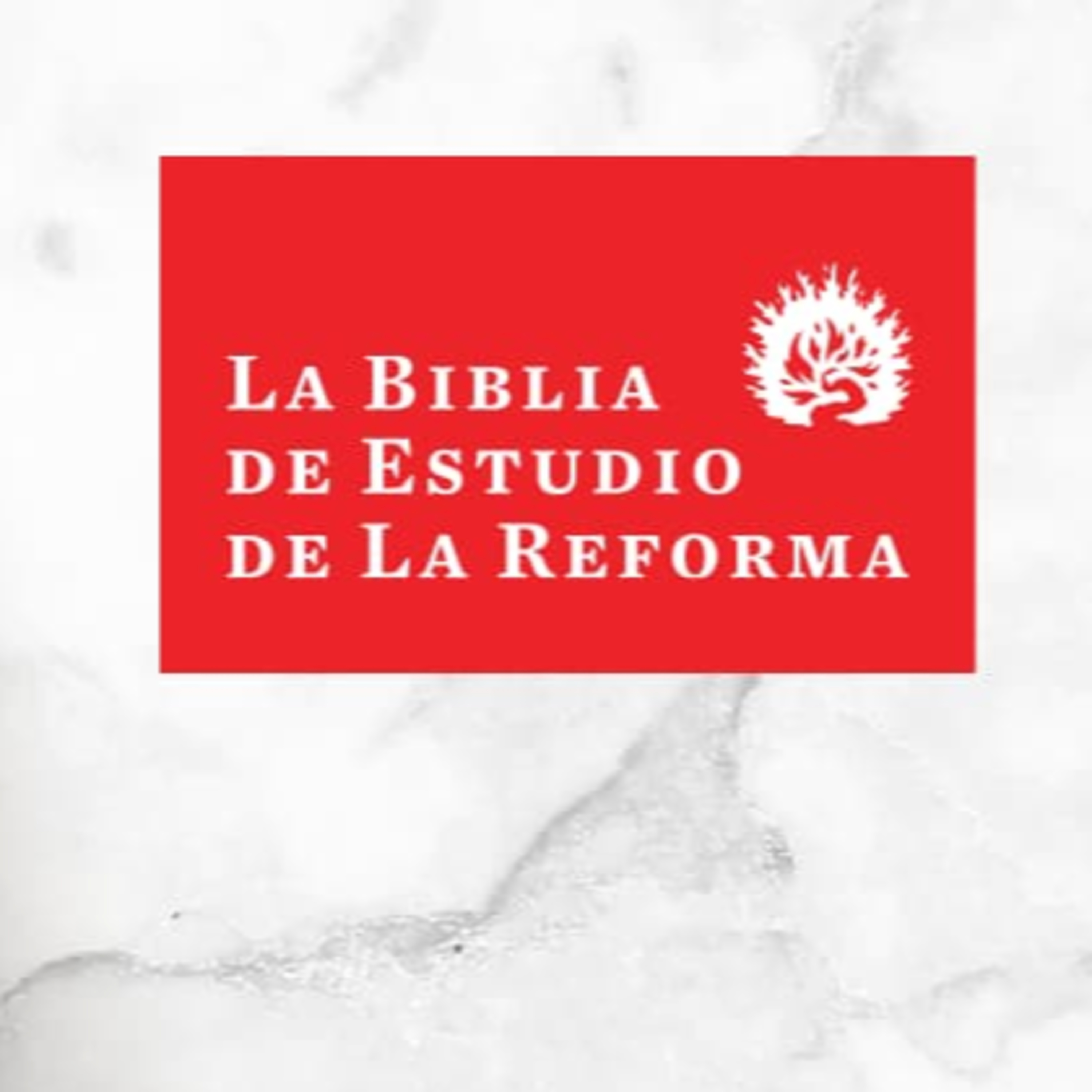 Sana Doctrina - Audio Libros reformados