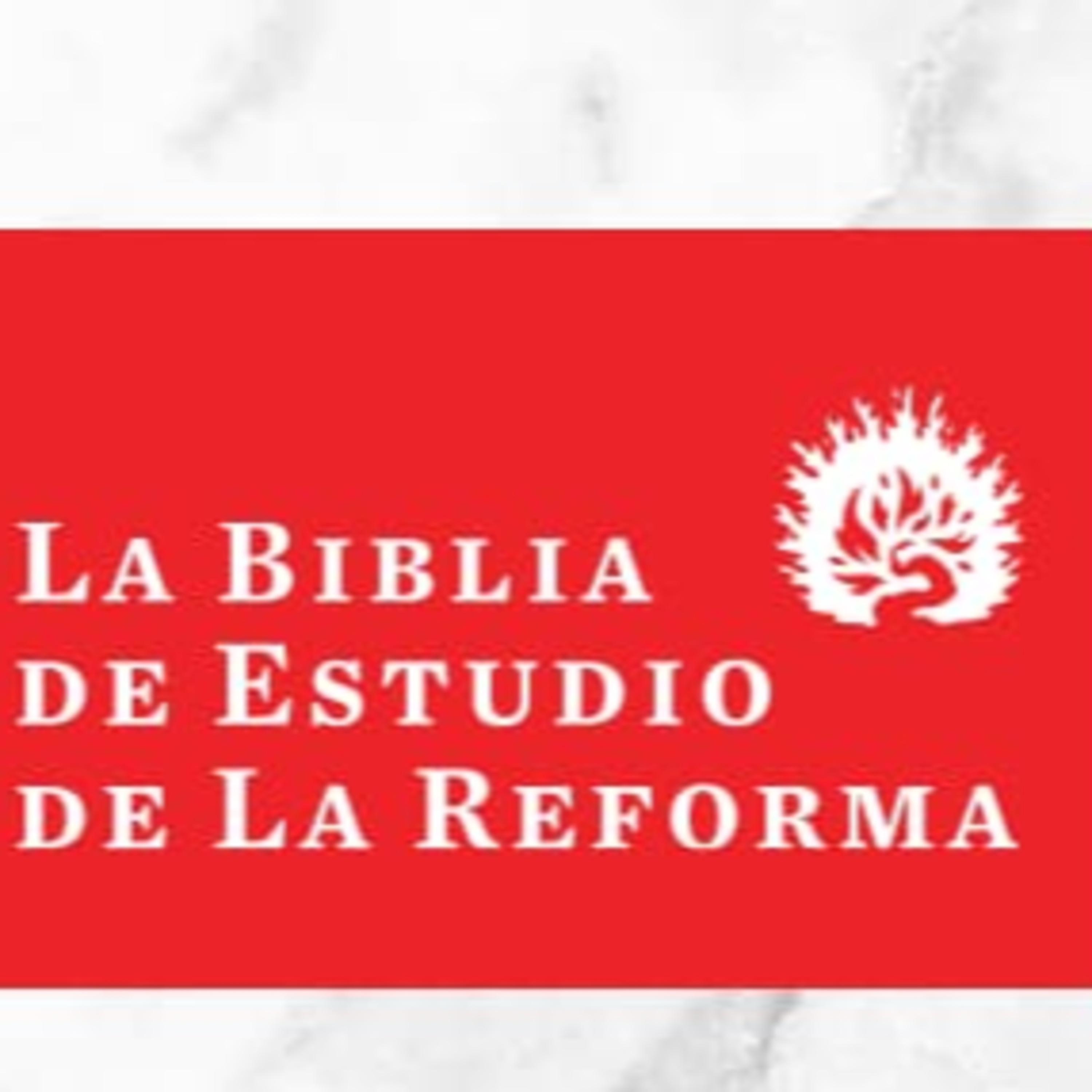 Sana Doctrina - Audio Libros reformados