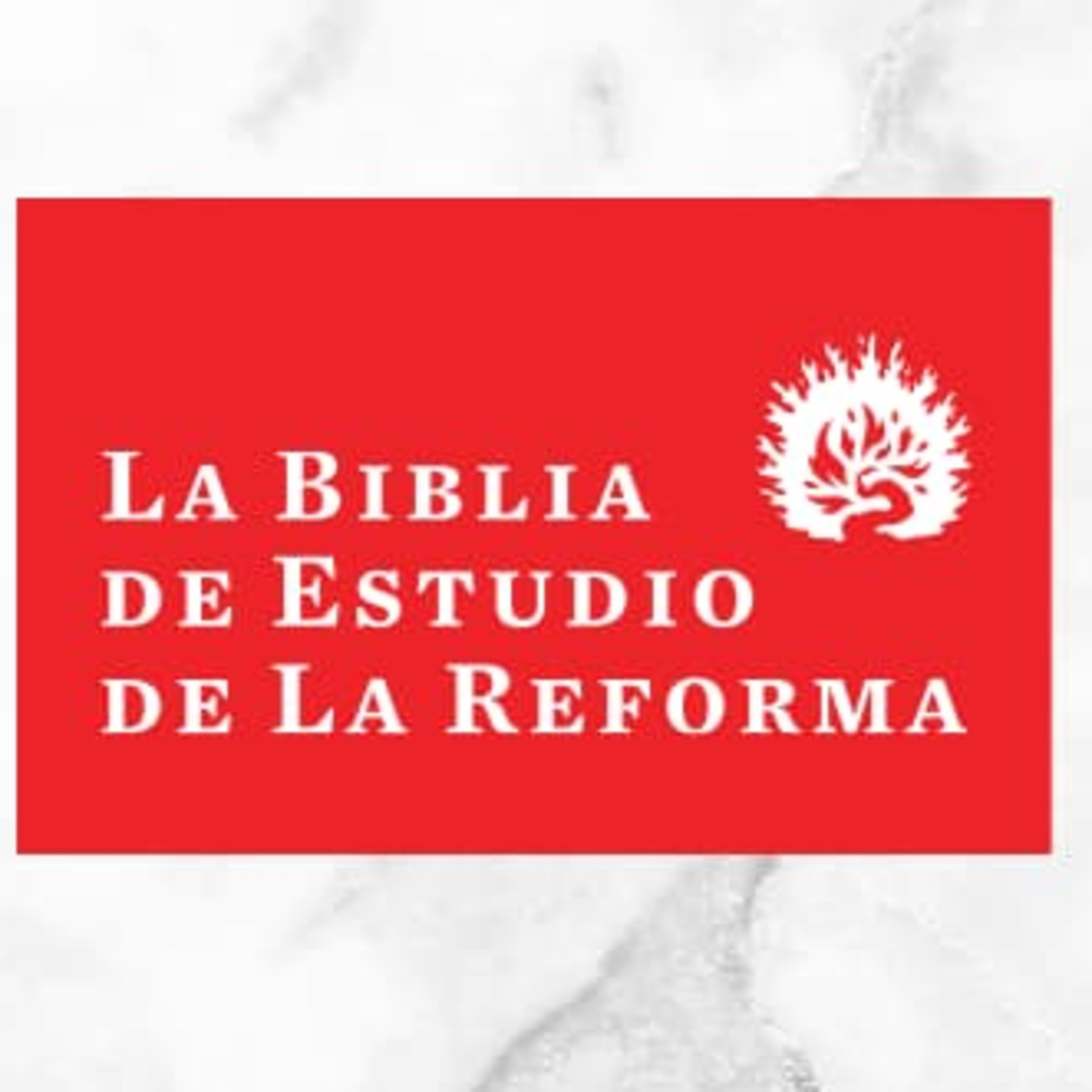 Sana Doctrina - Audio Libros reformados