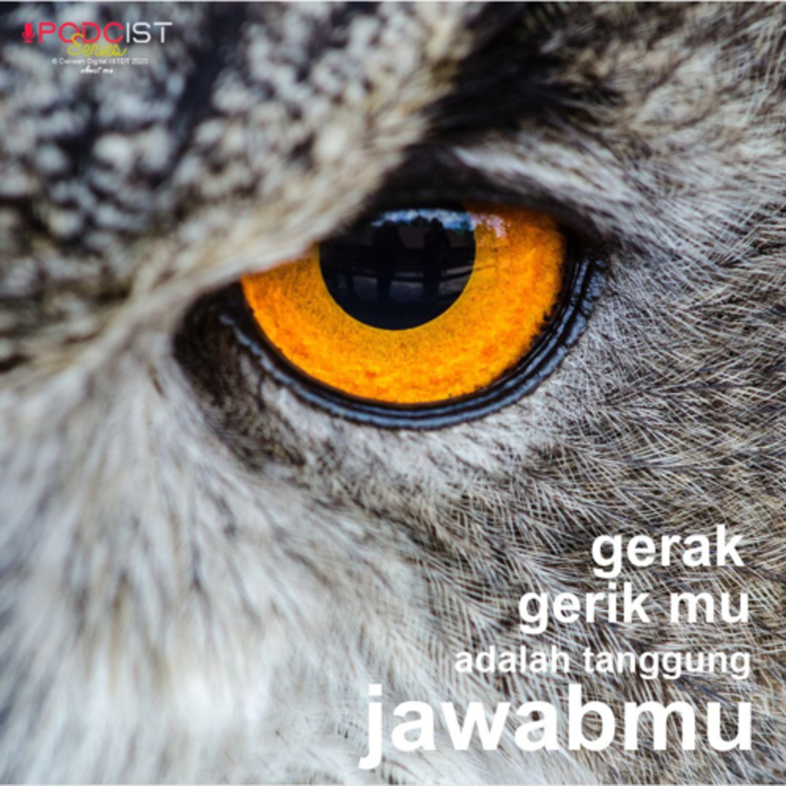 PODCIST