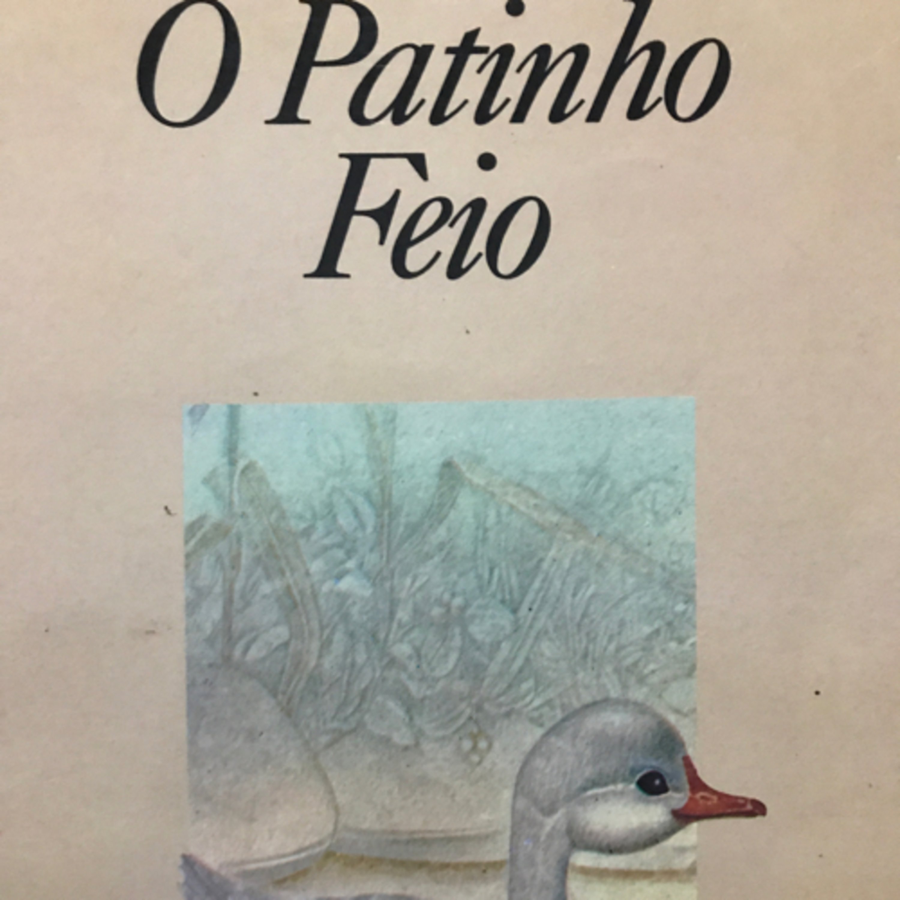 Dando voz aos livros