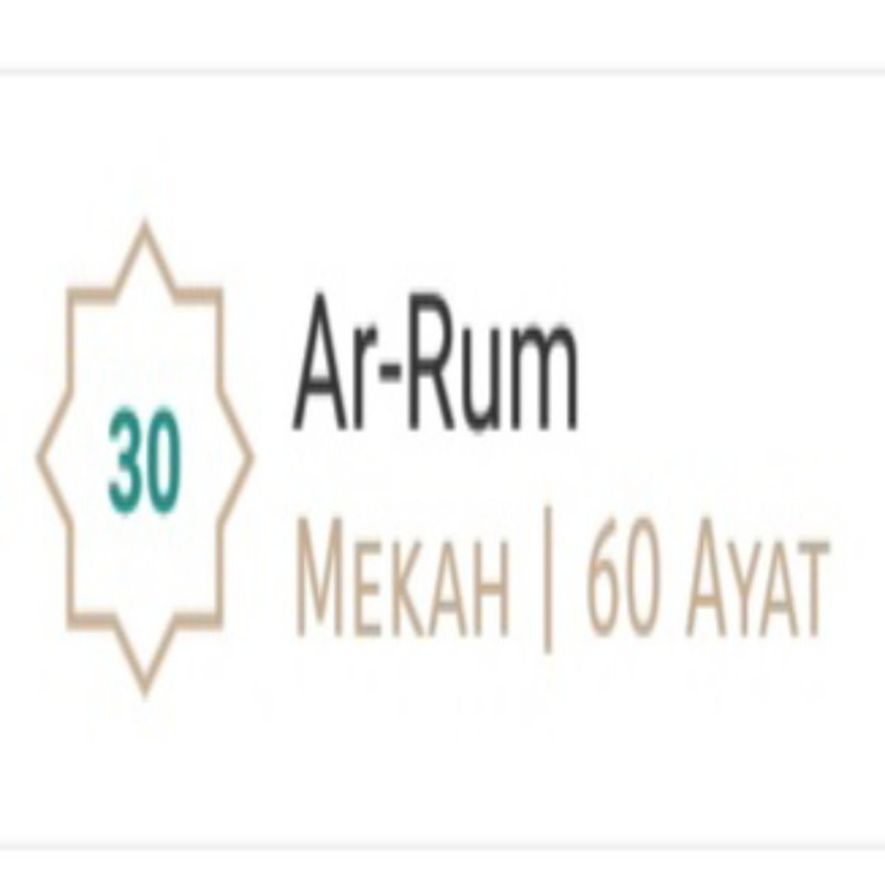 Ar Rum - Mishary Rashid Alafasy