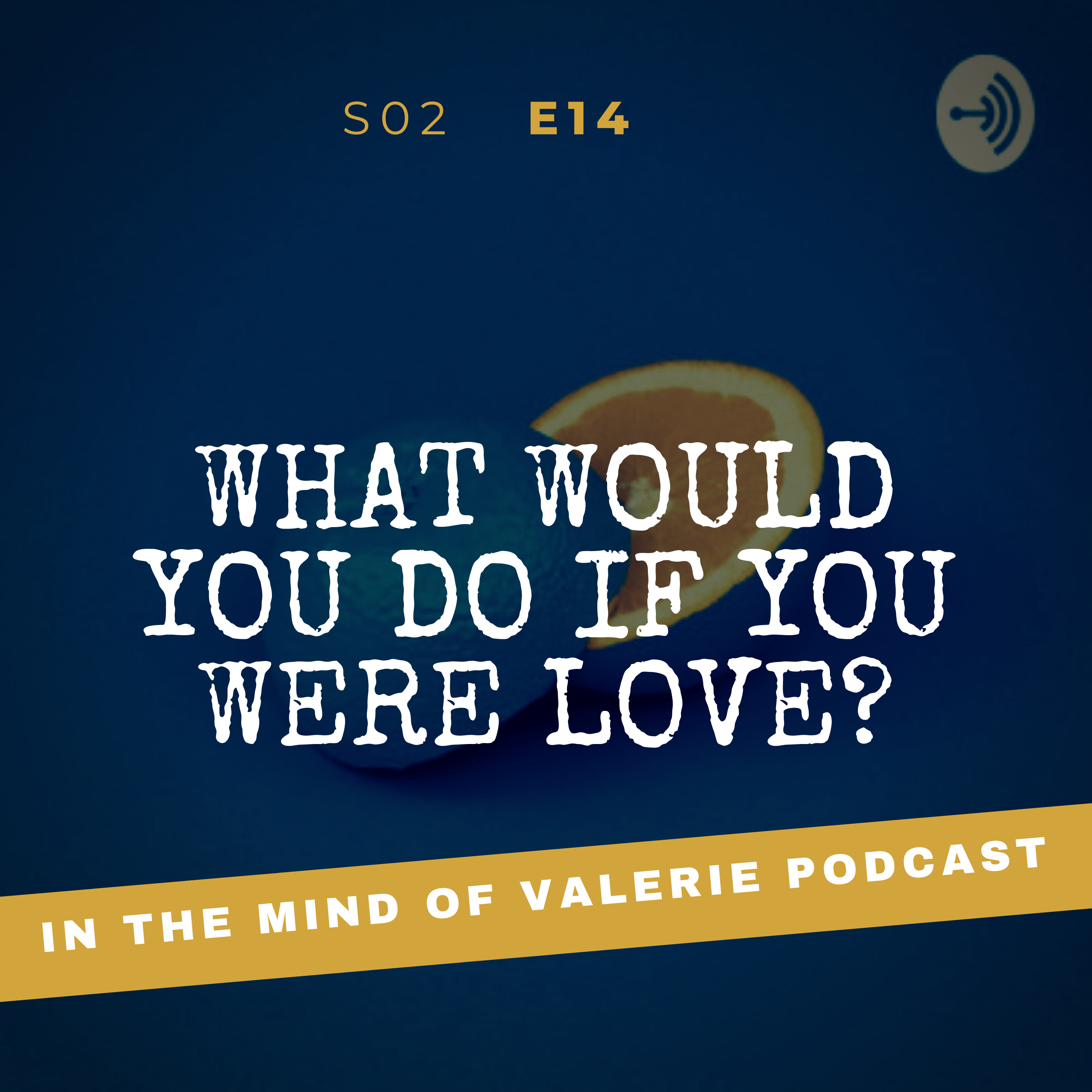 S02E14: What Would You Do If You Were Love?