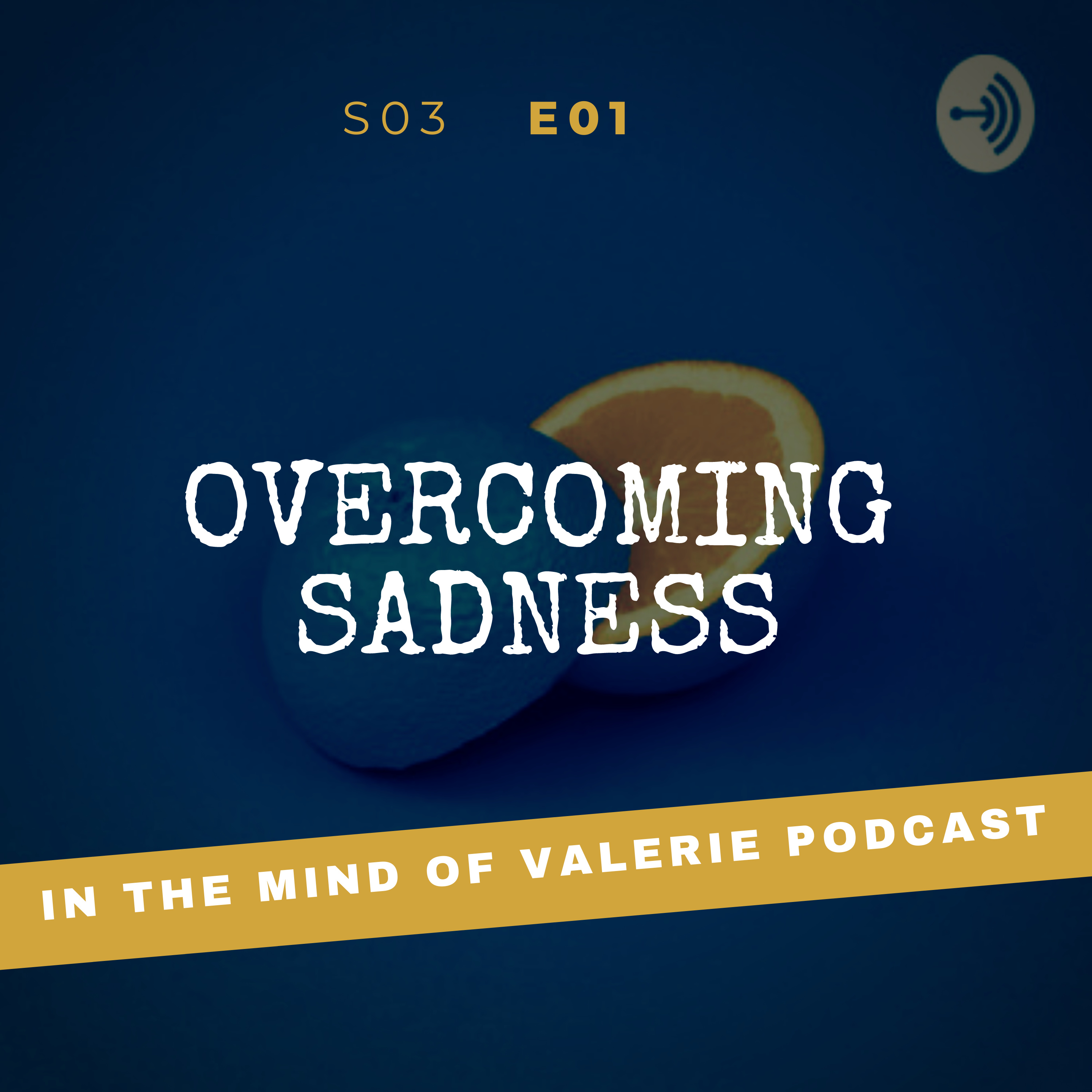 S03E01: Overcoming Sadness