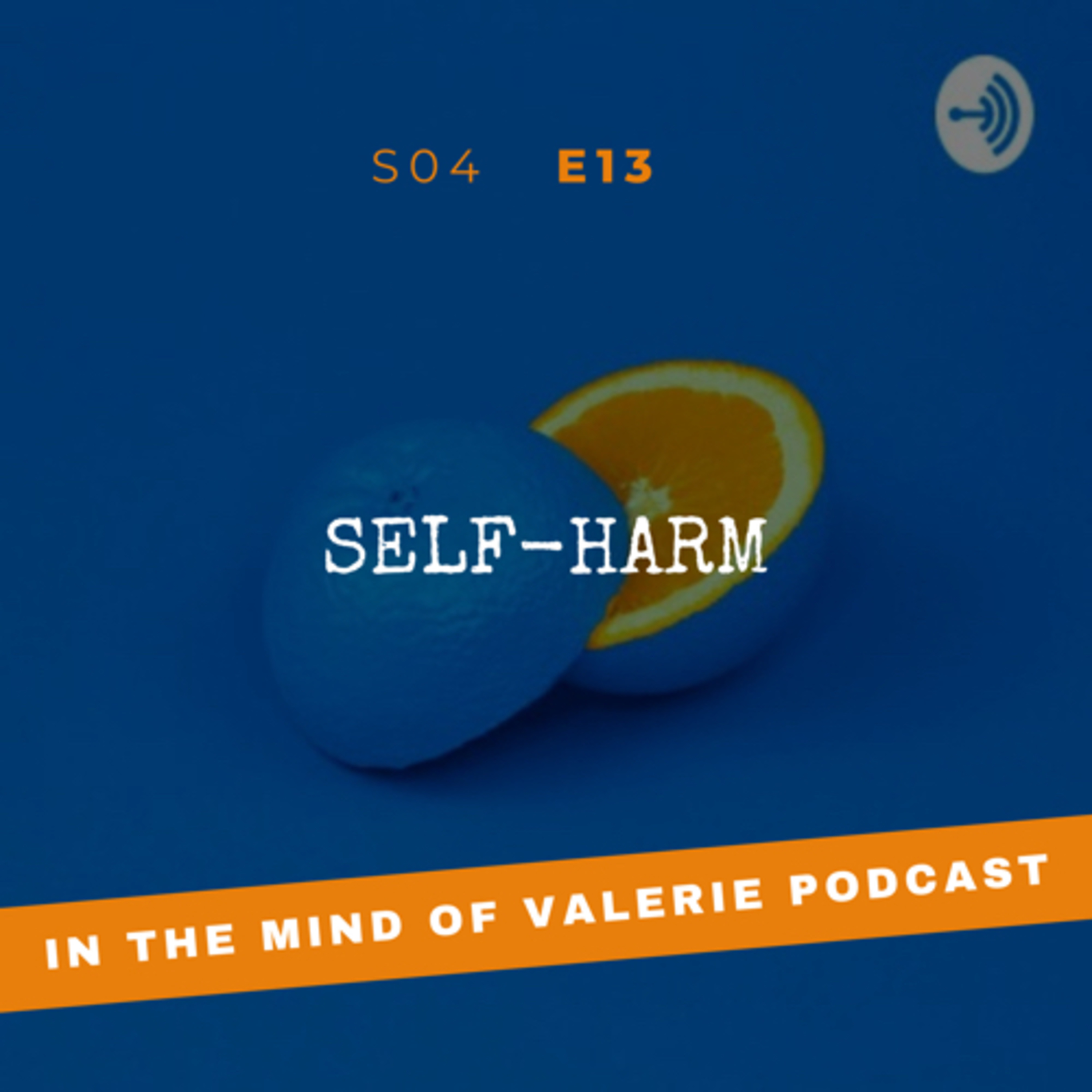 S04E013: Self-Harm
