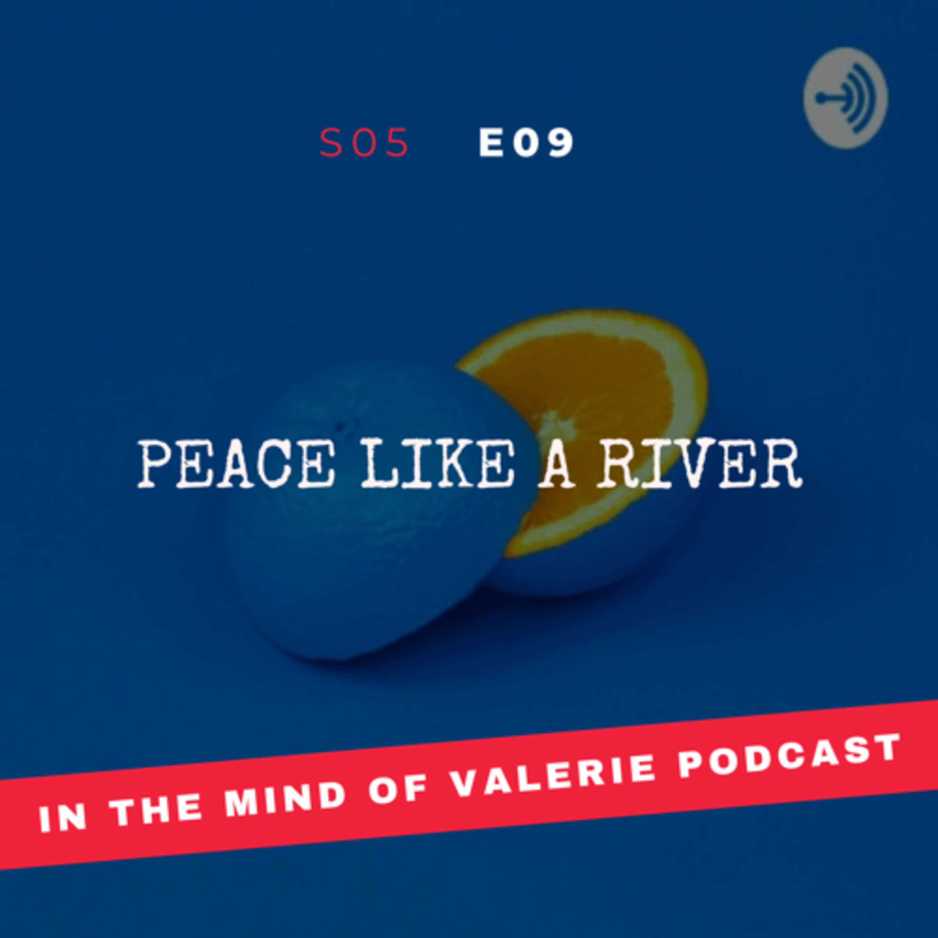 S05E09: Peace Like a River