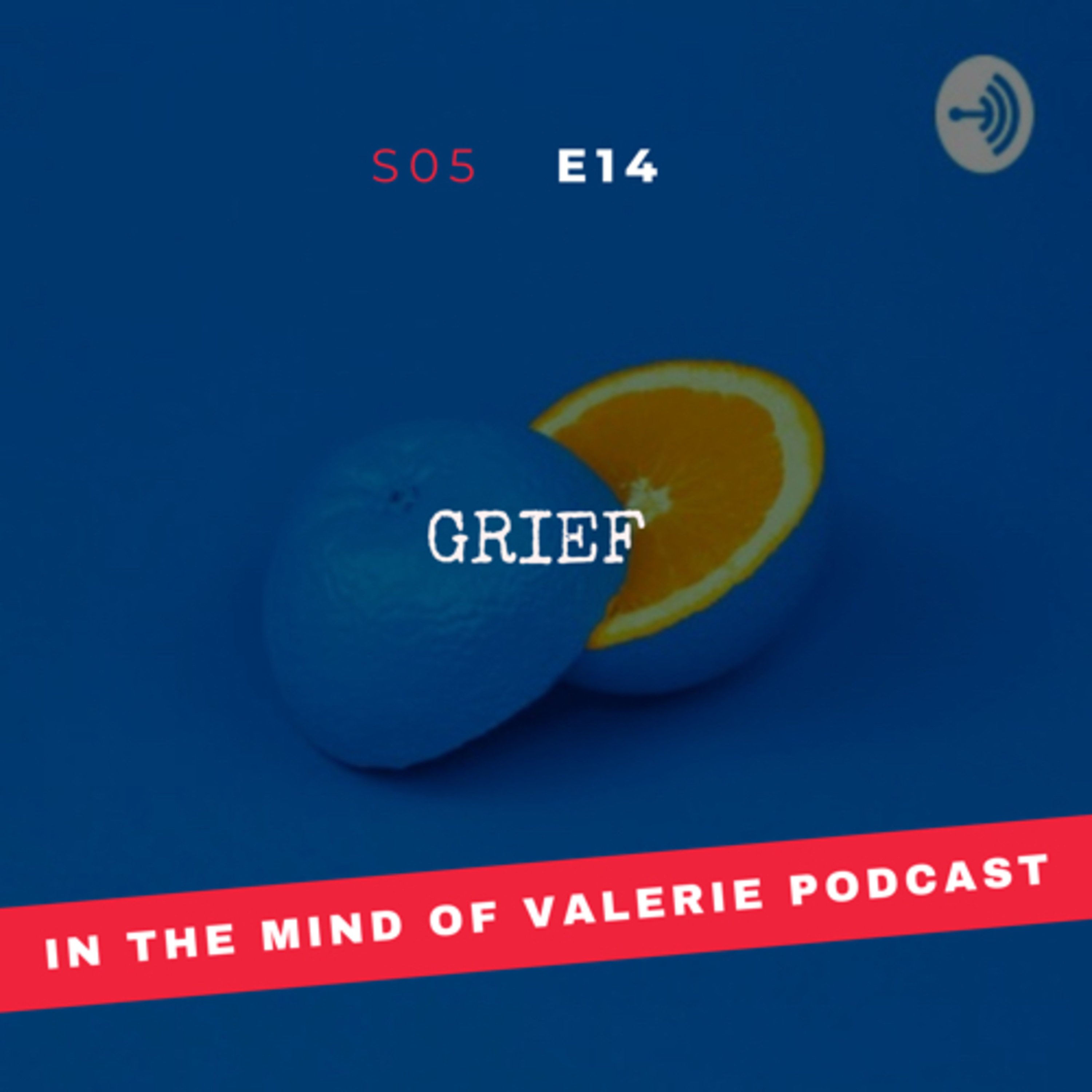 S05E14: Grief (with Elon MacKenzas)