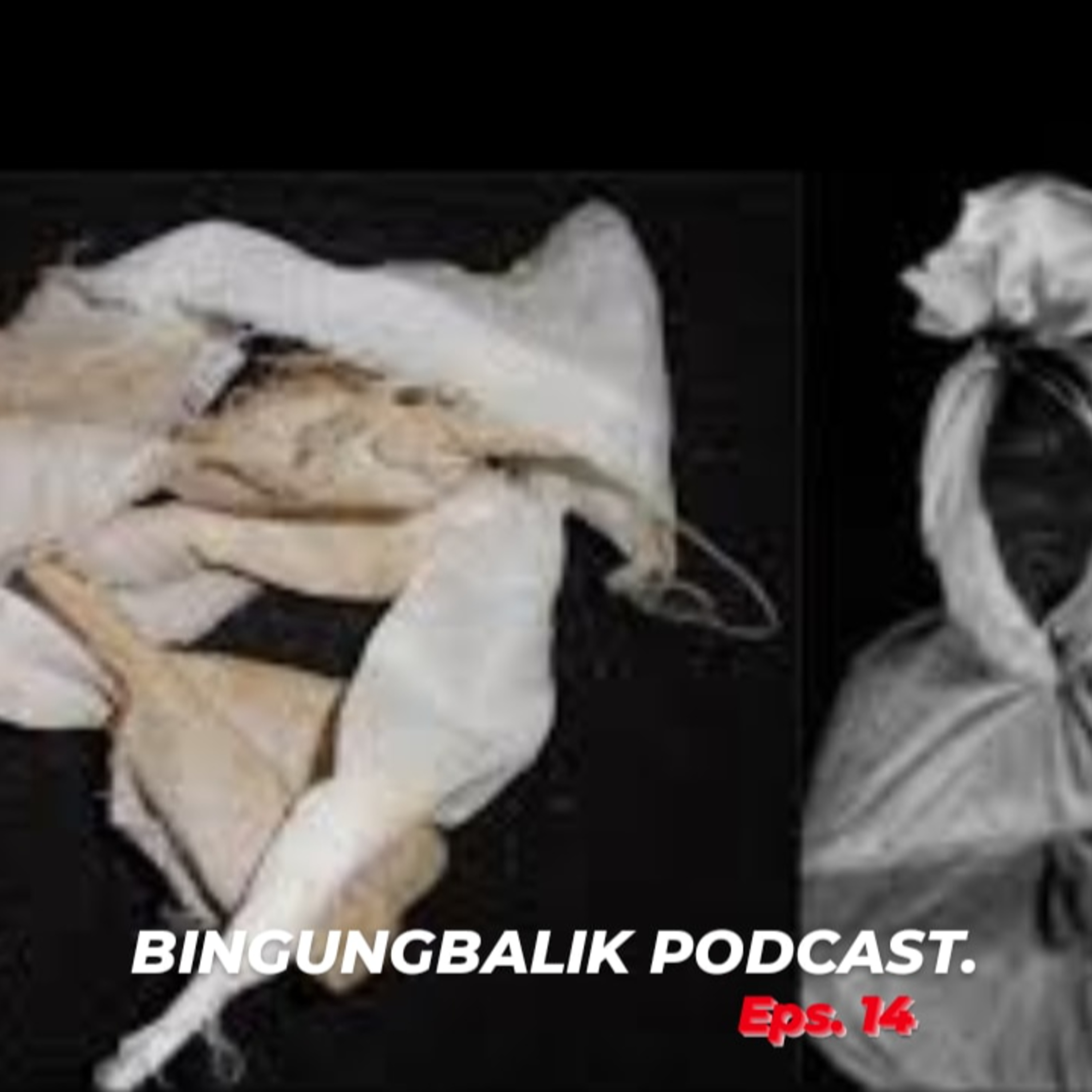 BingungBalik