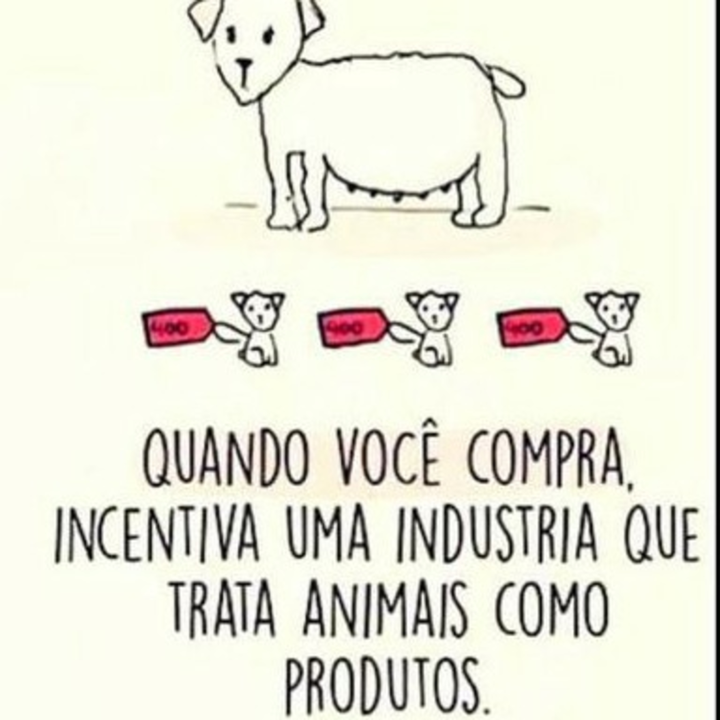 Reportagem(como os animais mudam vidas) episode artwork
