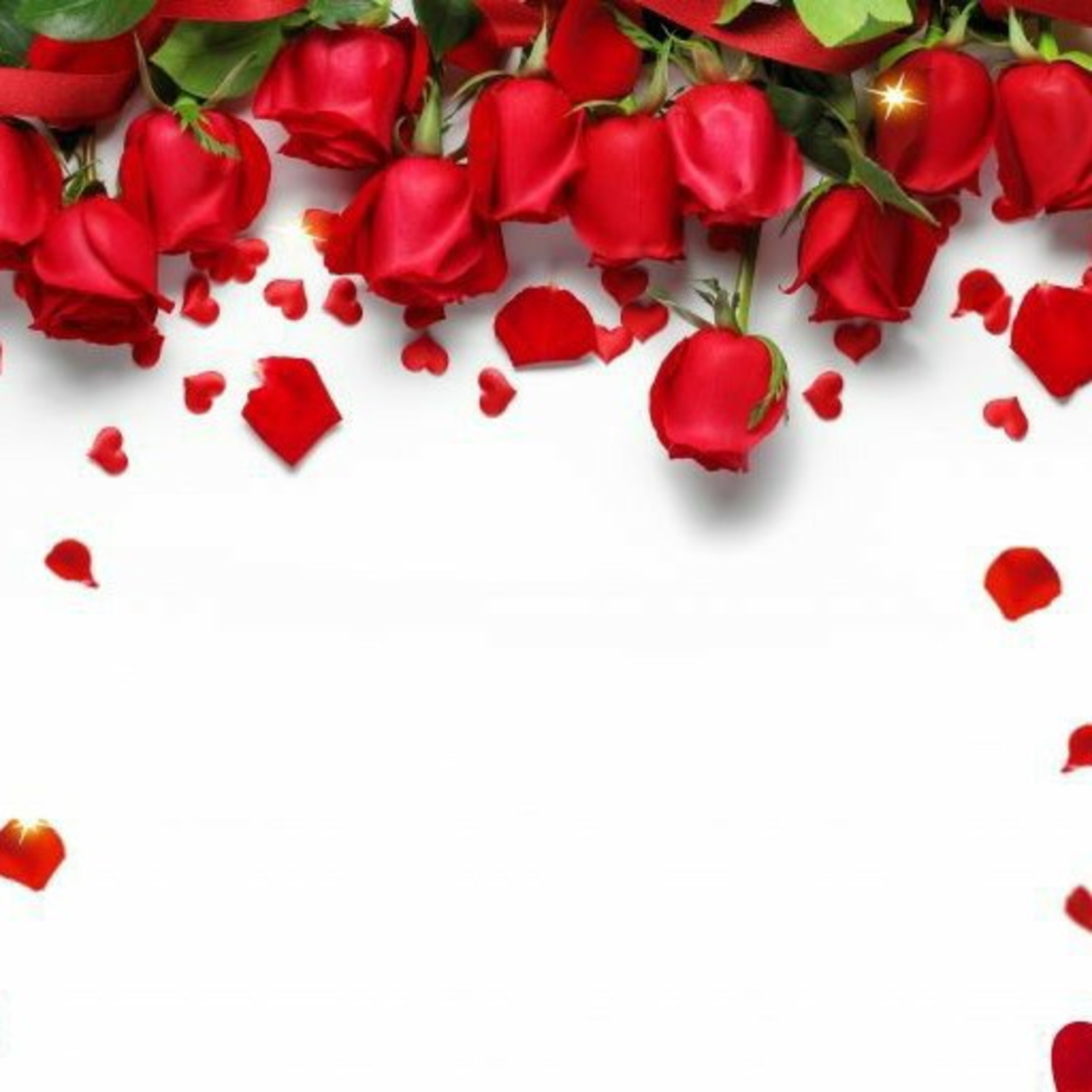 Poesia:Amor  episode artwork