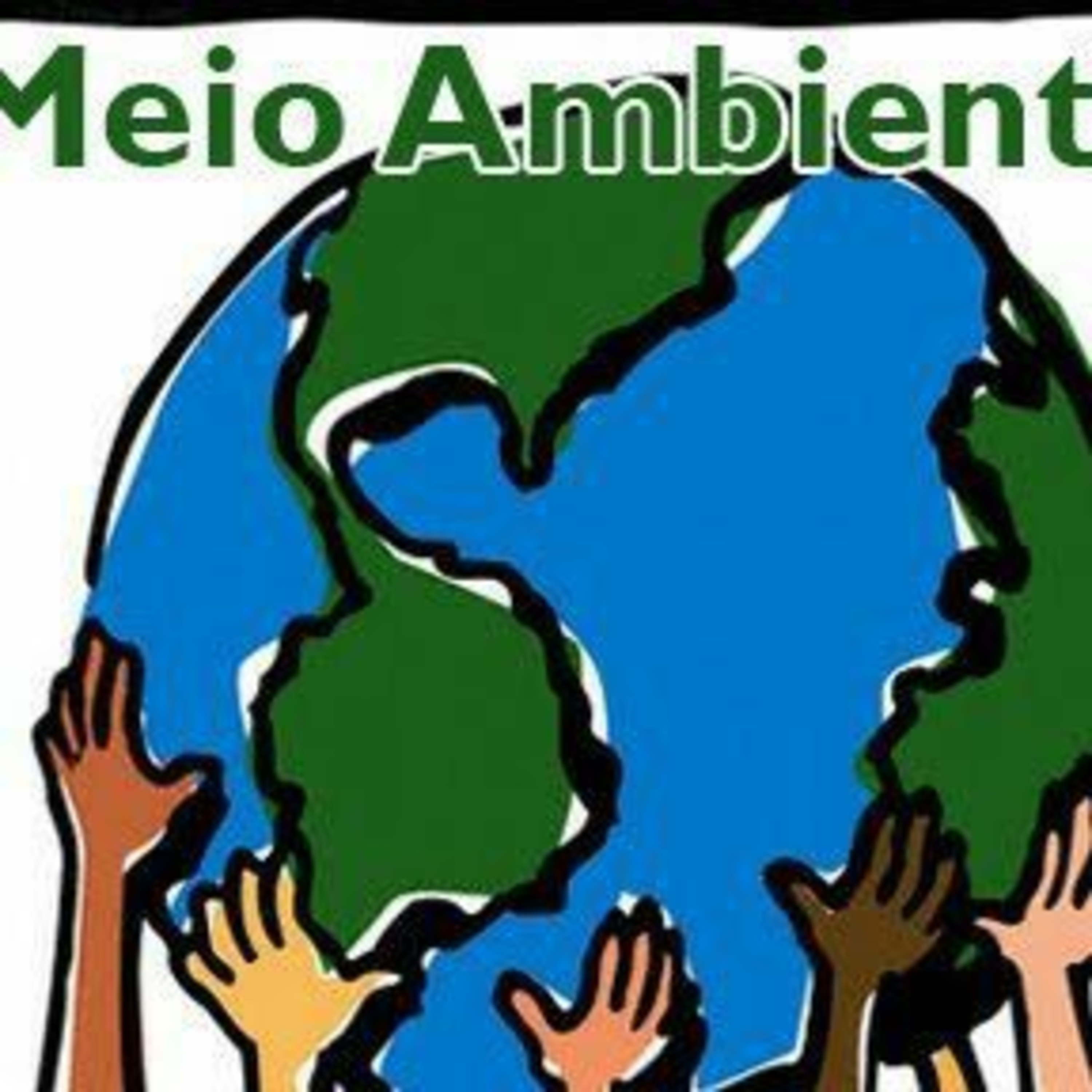 Notícia e artigo de opinião 