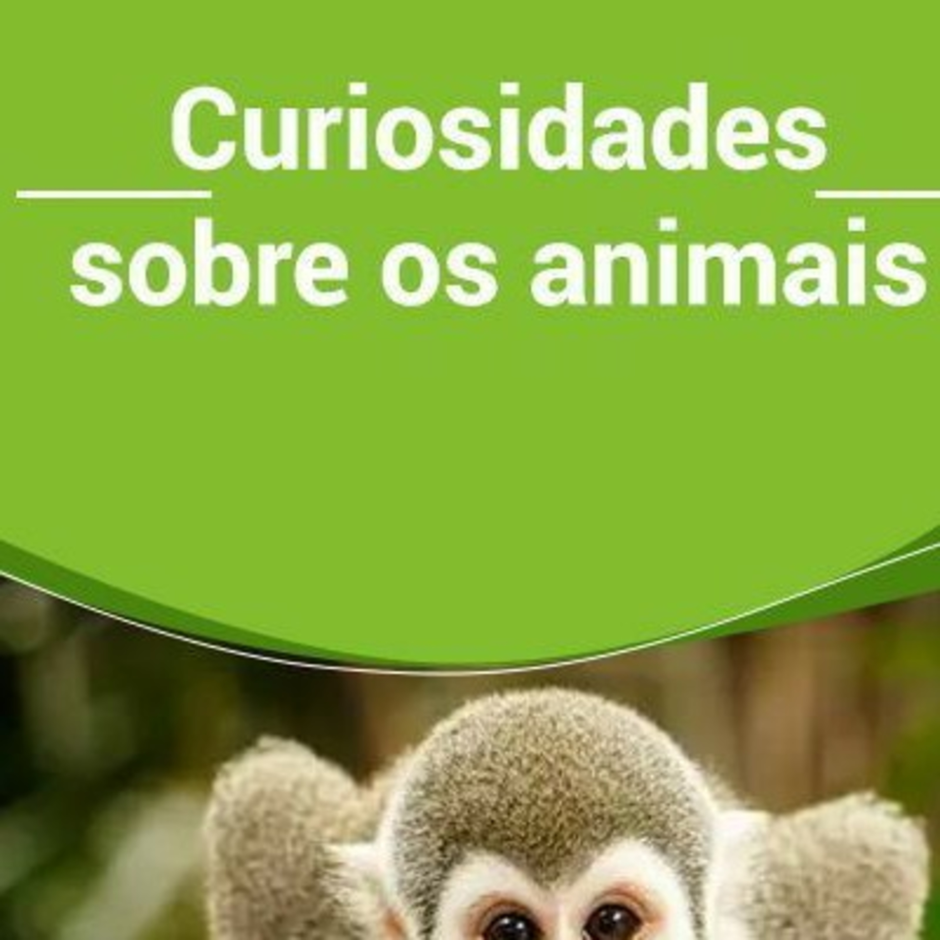 Textos de curiosidade                                       curiosidades animais. episode artwork