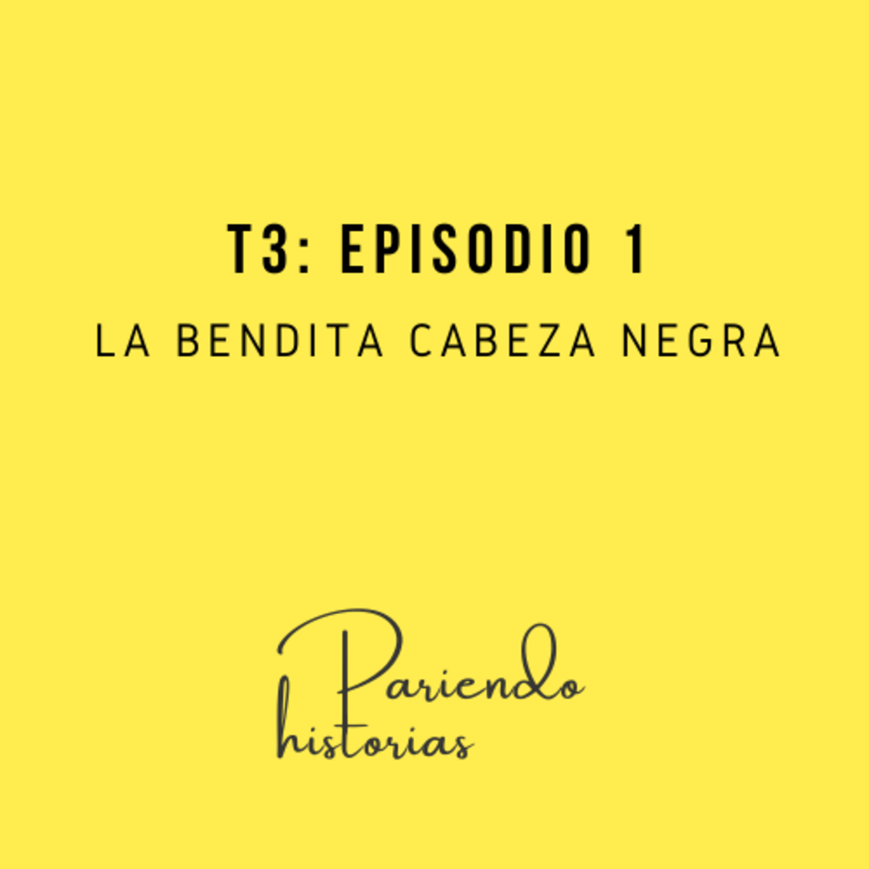Pariendo Historias