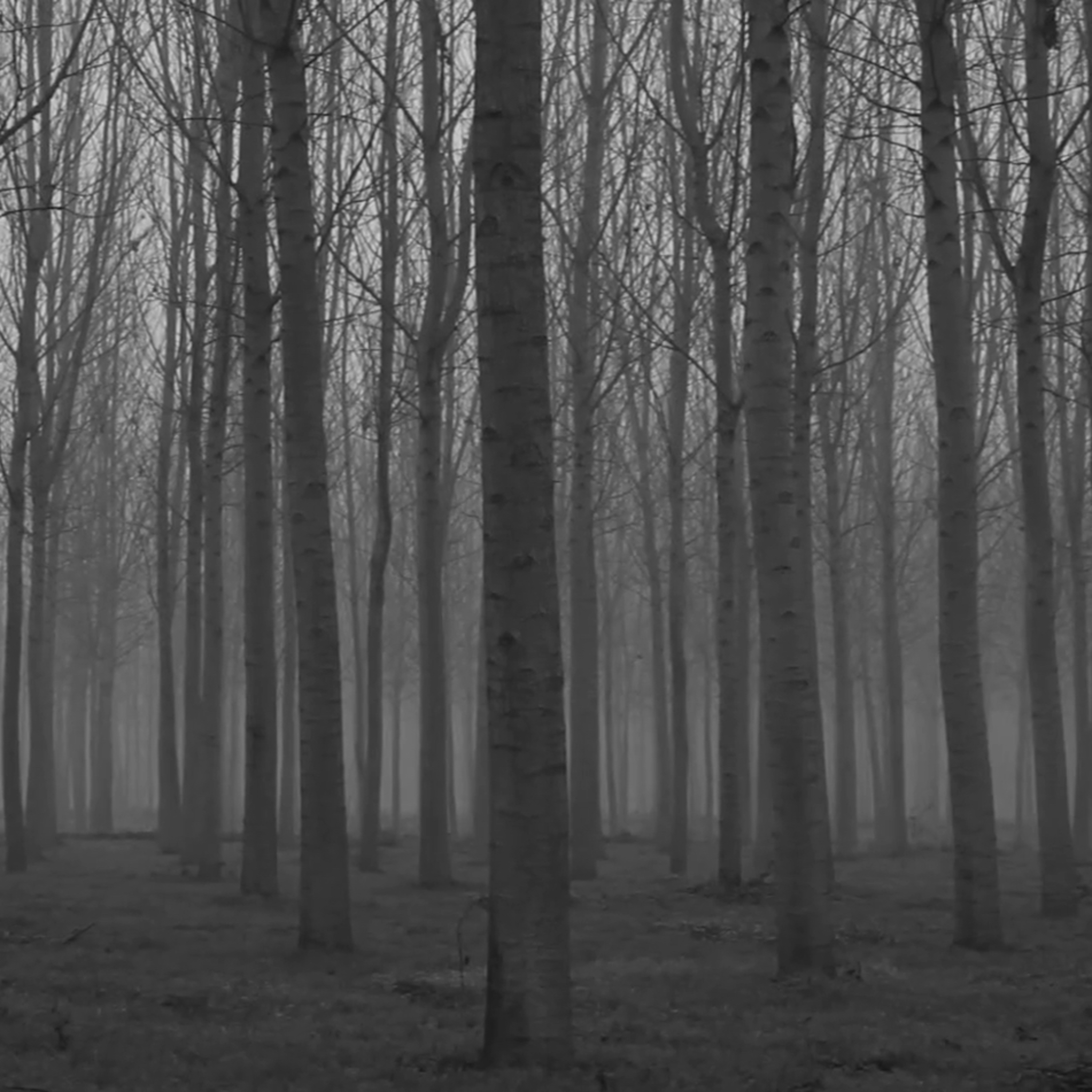 The Door In The Woods Part 13 episode artwork