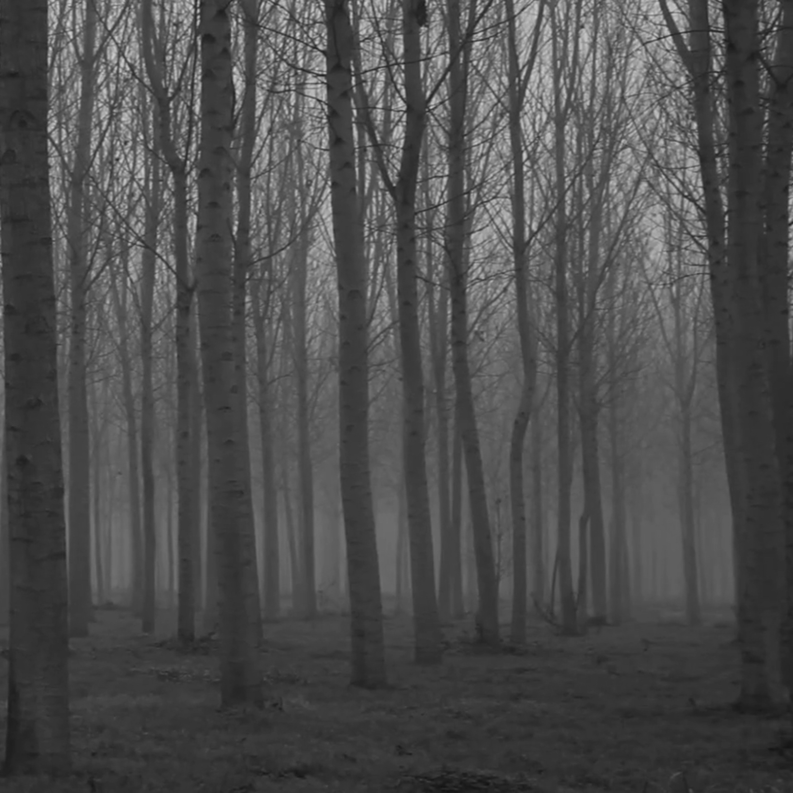 The Door In The Woods Part 18  episode artwork