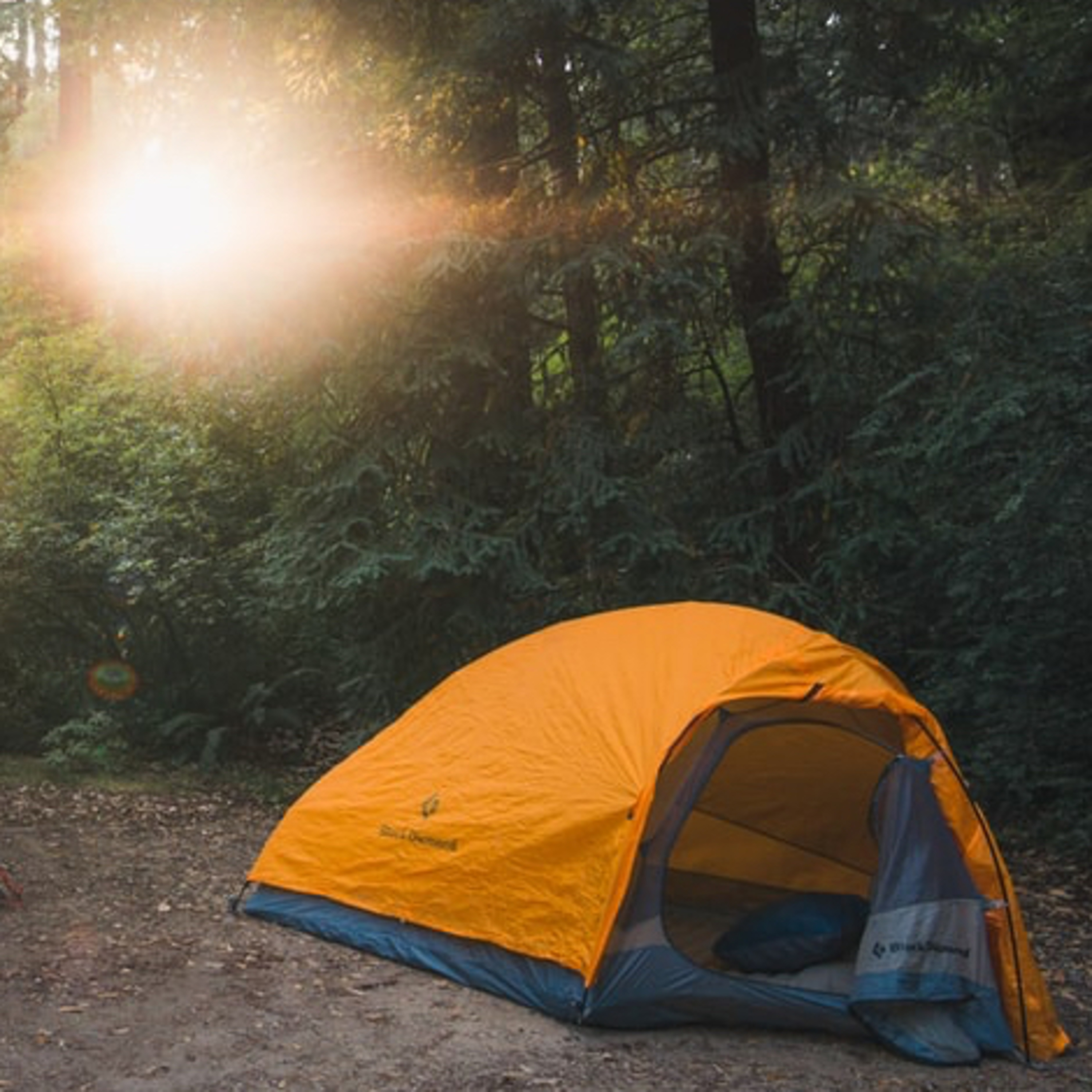 Camping episode artwork