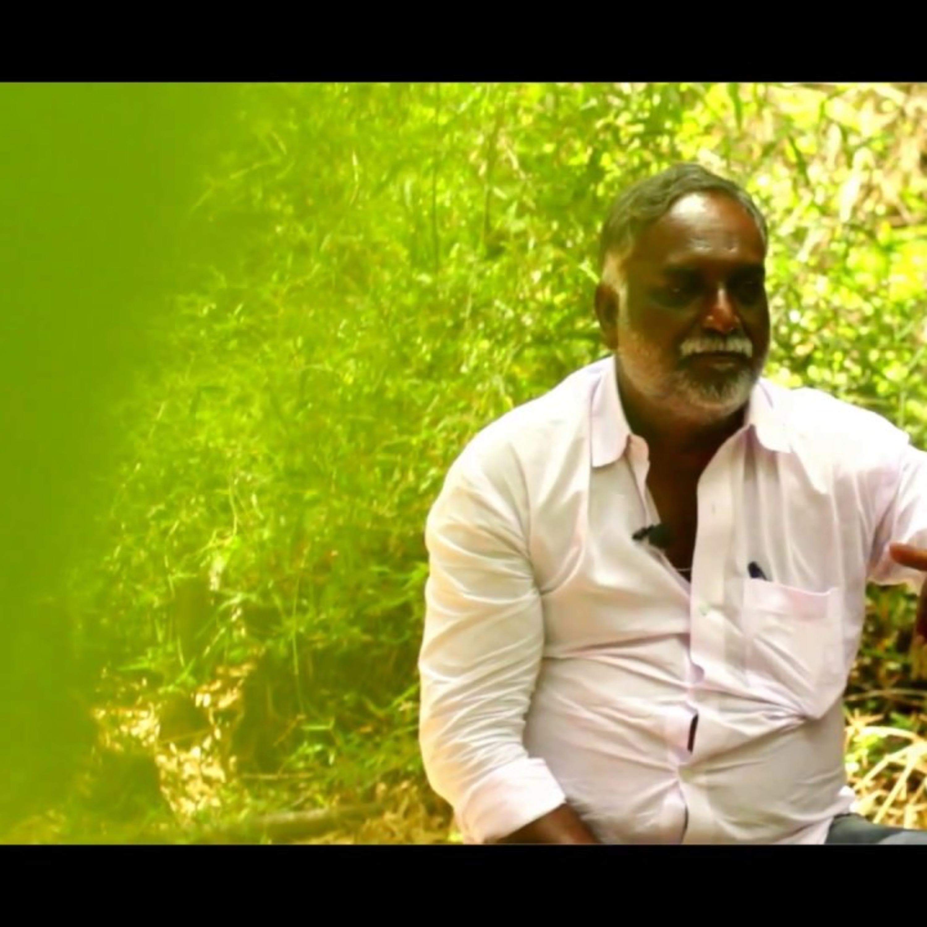Whatpattai