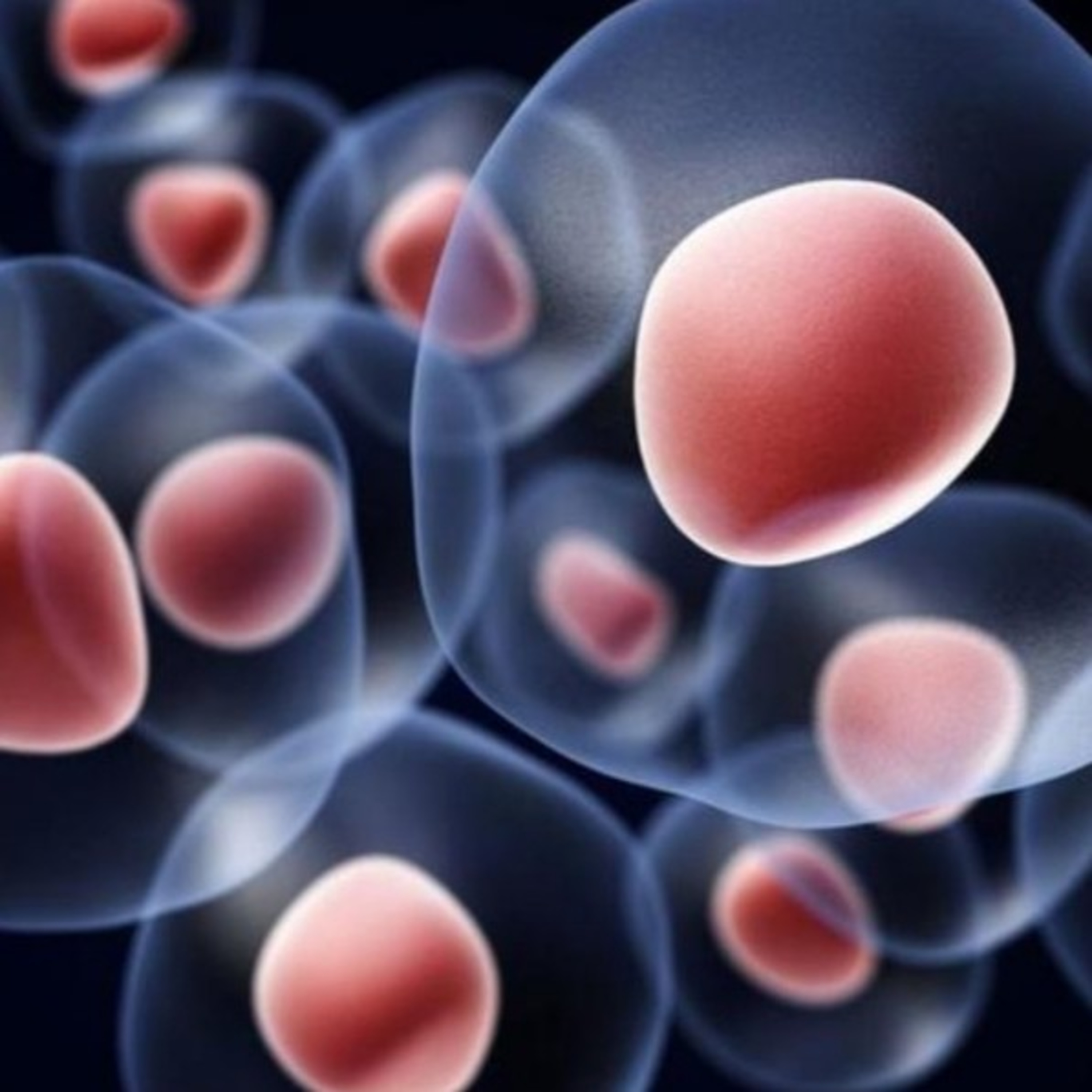 اهم خمس اوبئة غيرت العالم