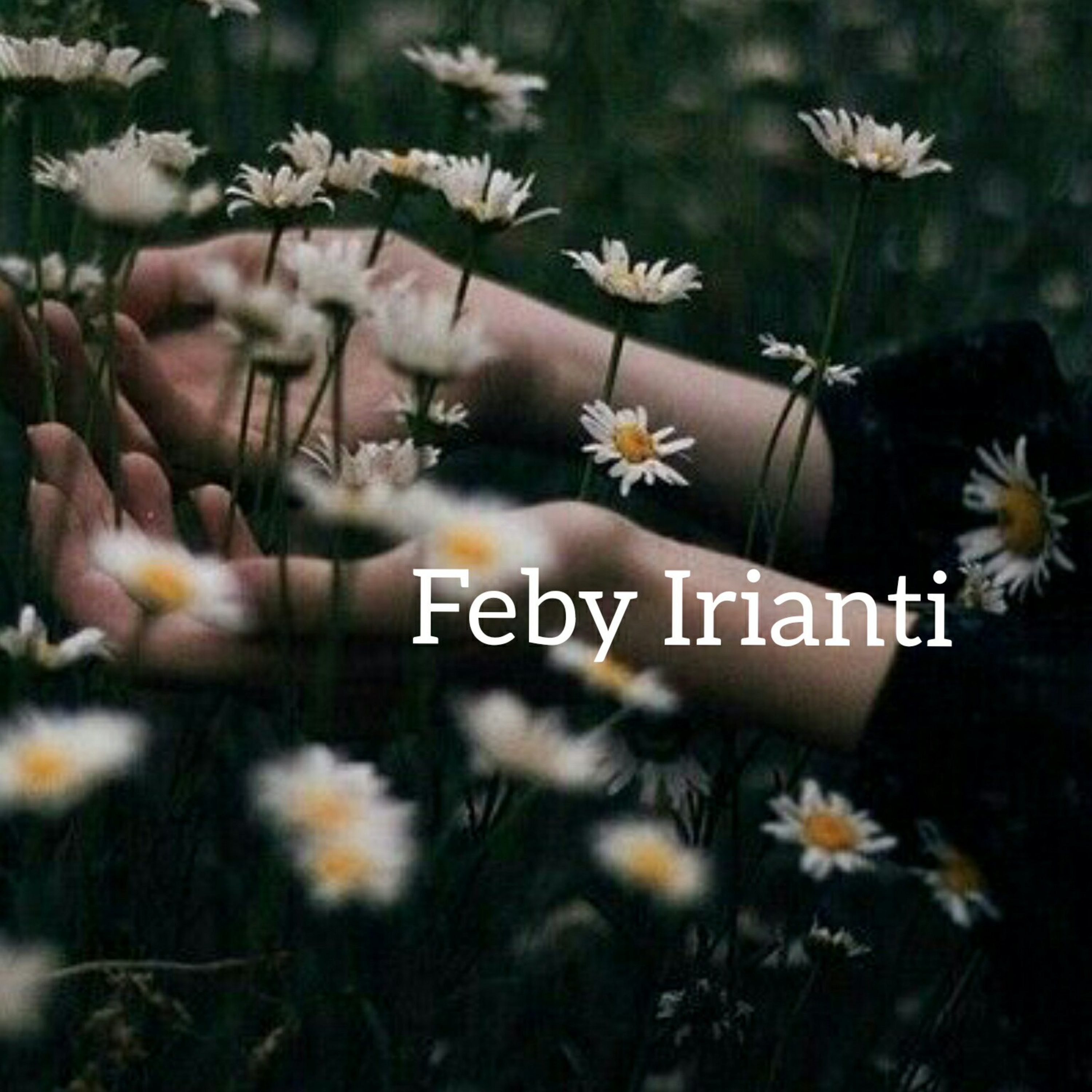 Feby Irianti