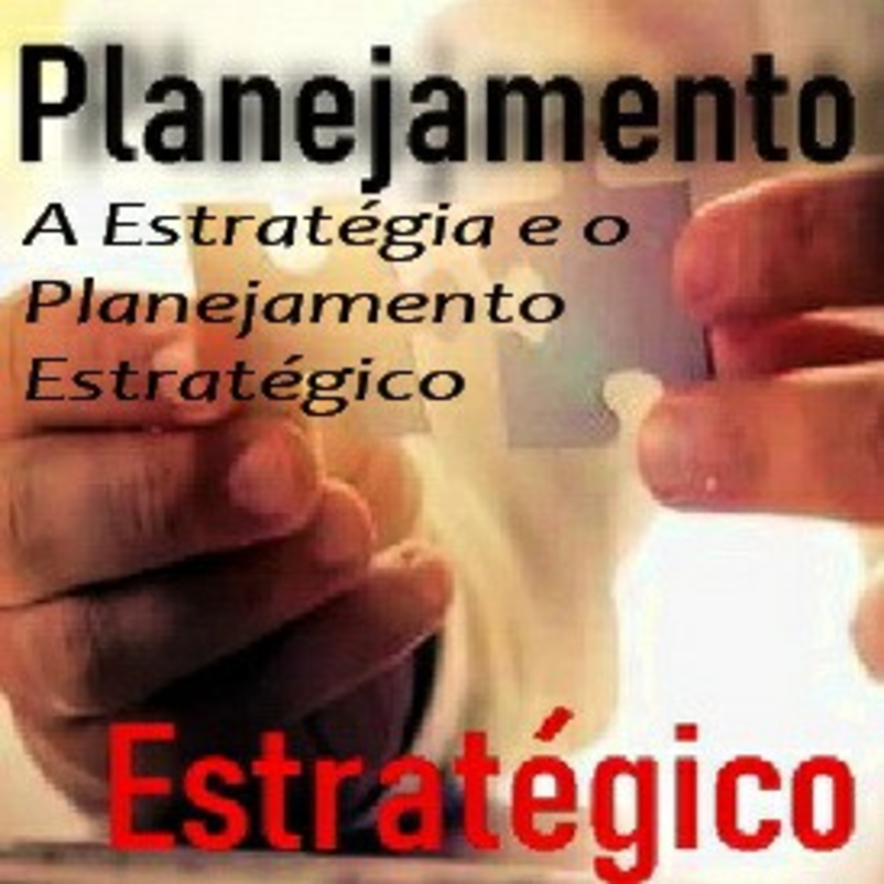 Planejar Com Zaniratti - Oficial