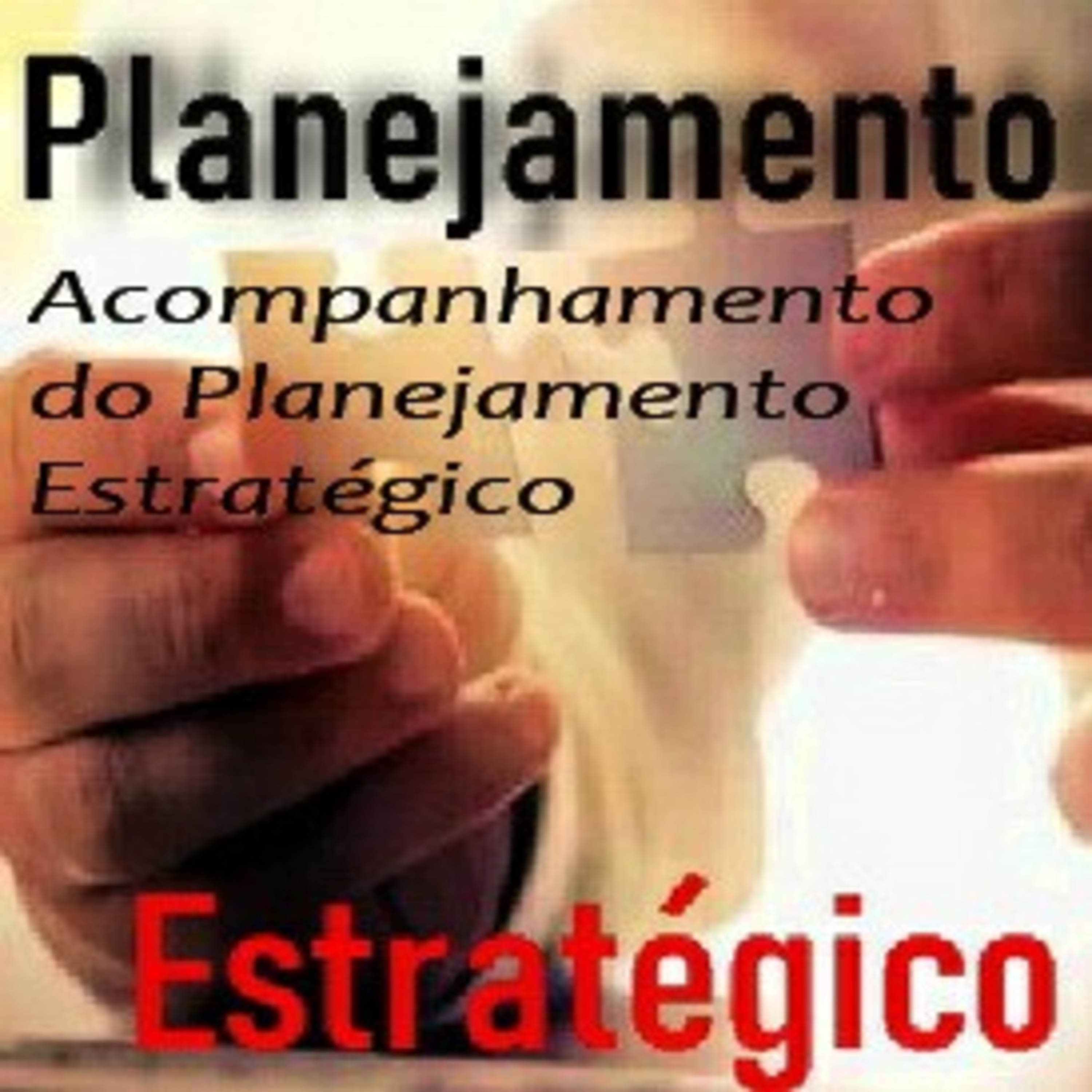 Planejar Com Zaniratti - Oficial