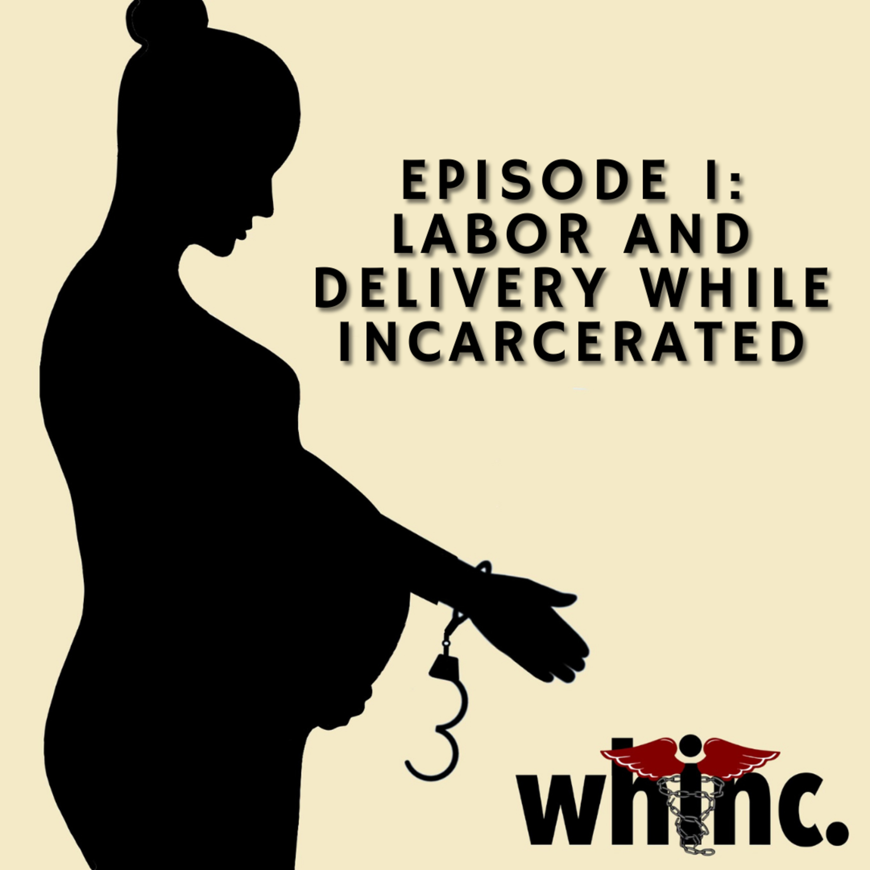 Women\'s Health, Incarcerated. (WHInc.)