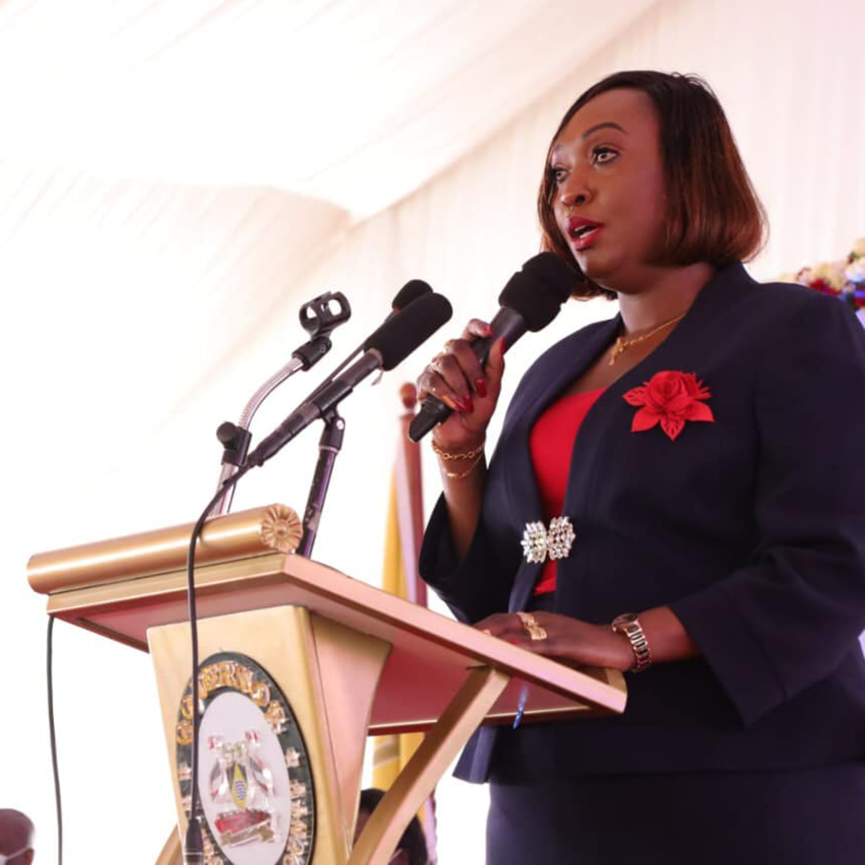 Ann Kananu Promises Goodies For Nairobi Health Care episode artwork