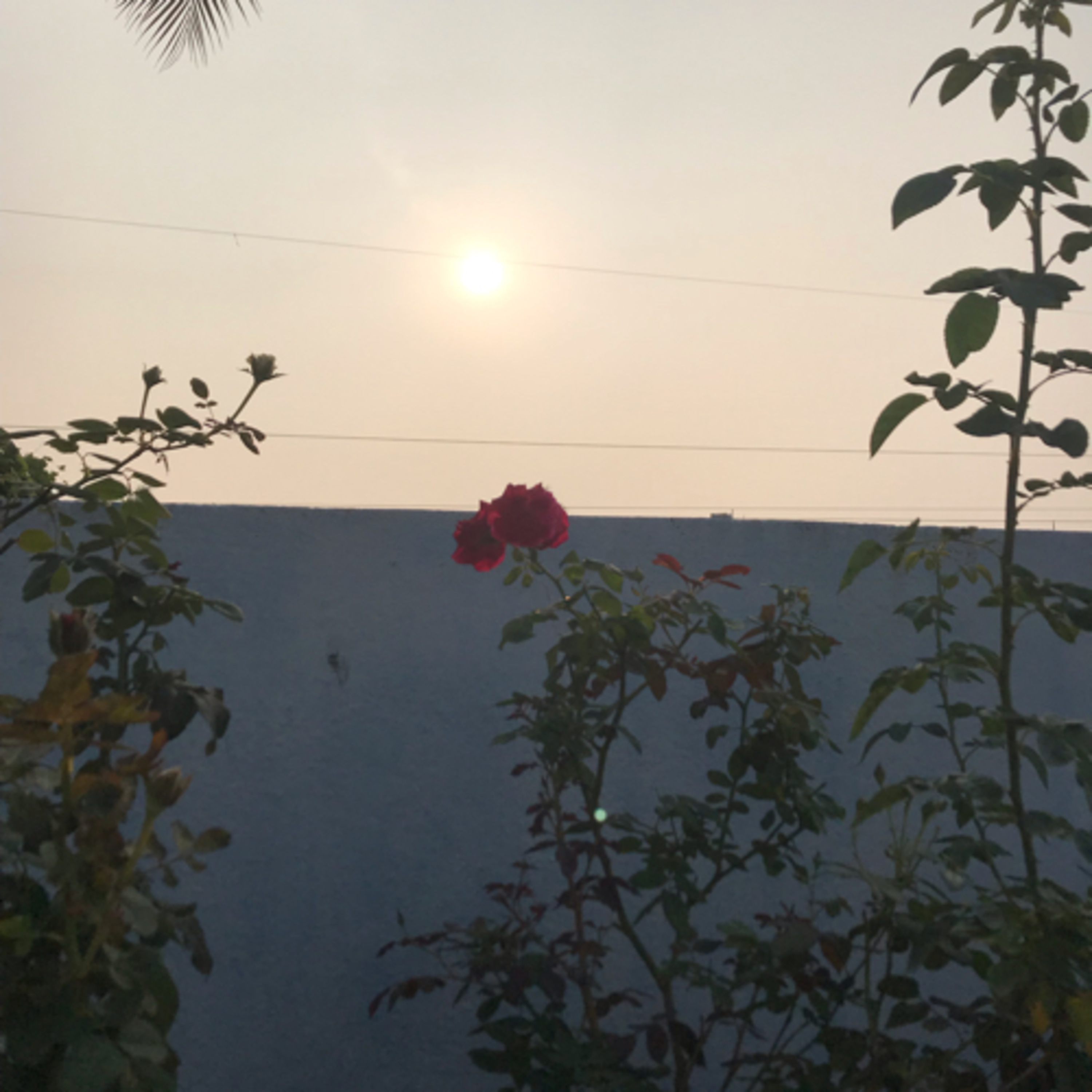 Kadhai neram