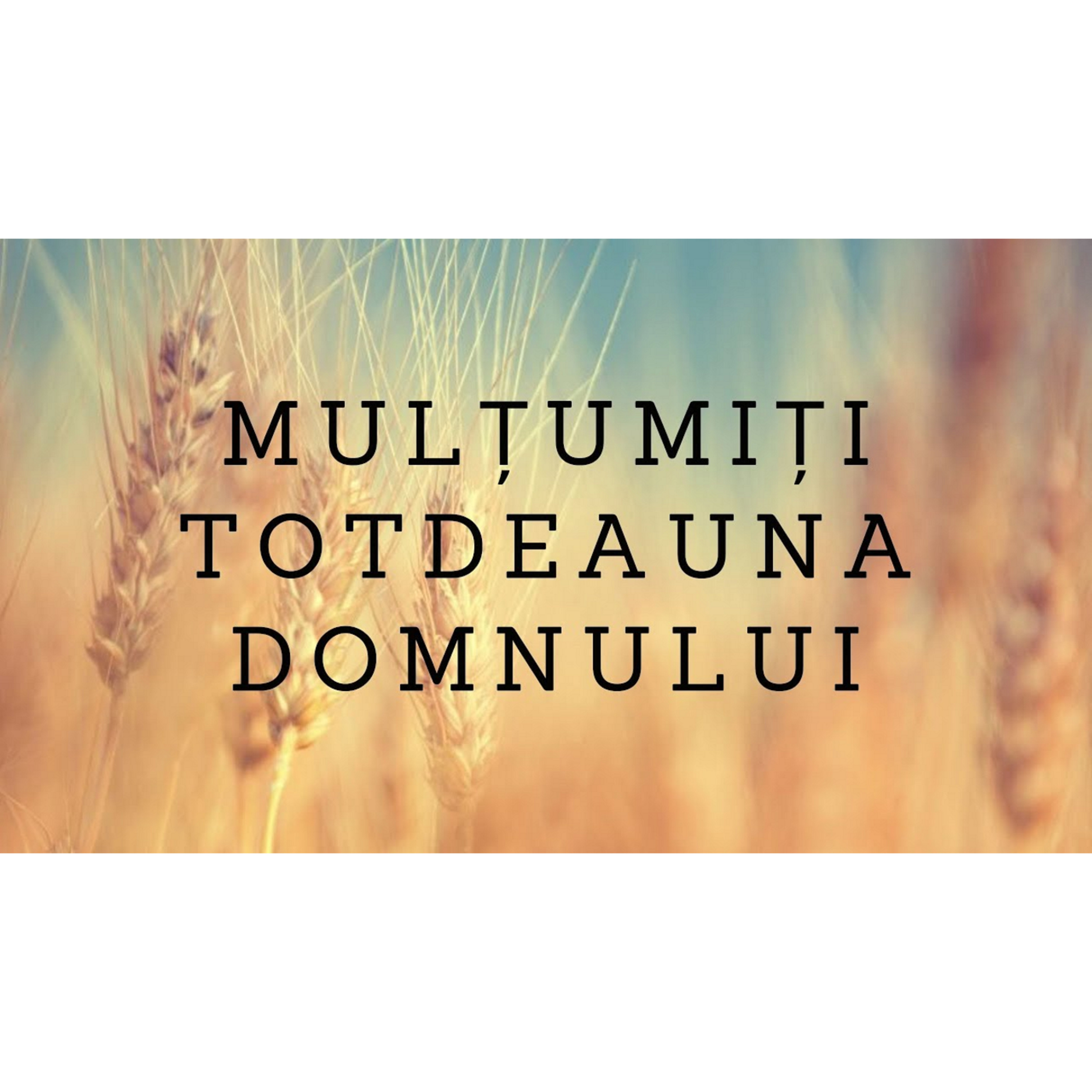 Mulţumiţi totdeauna lui Dumnezeu pentru toate lucrurile | Nicolae Vozian episode artwork